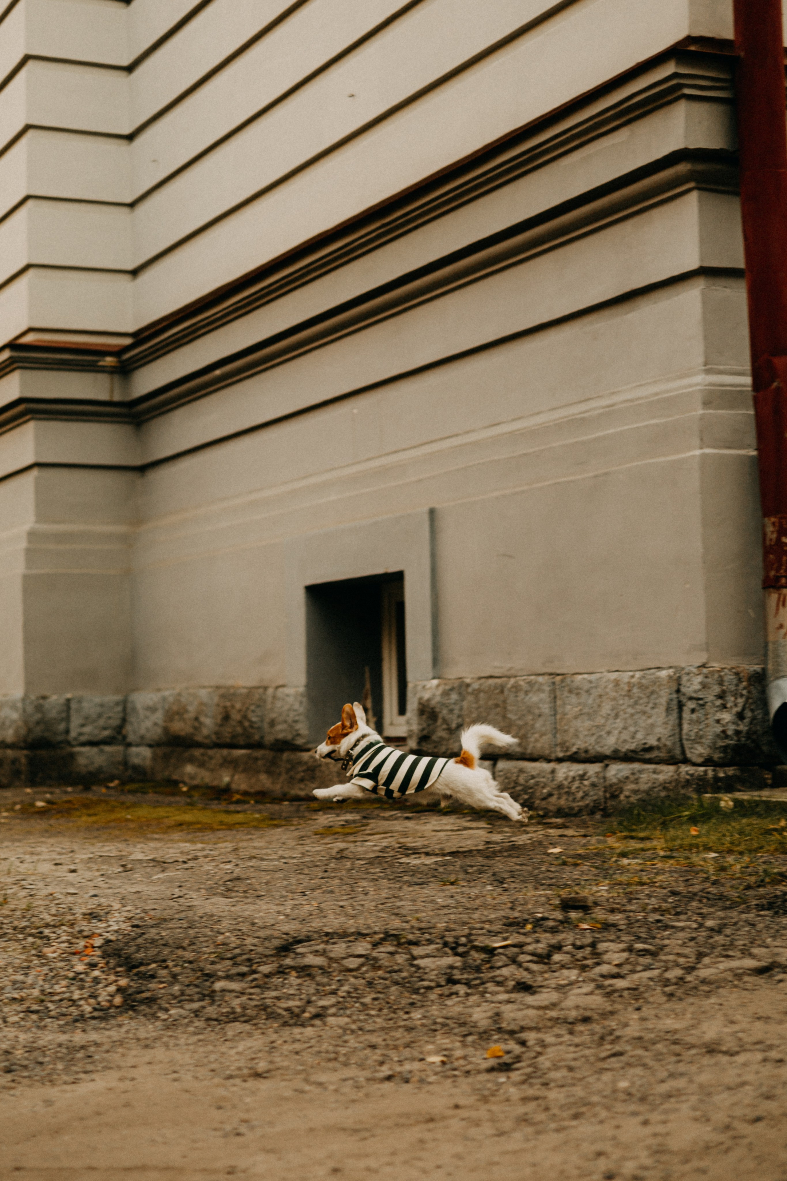 Прогулка втроём. Фотограф Настя Леонова