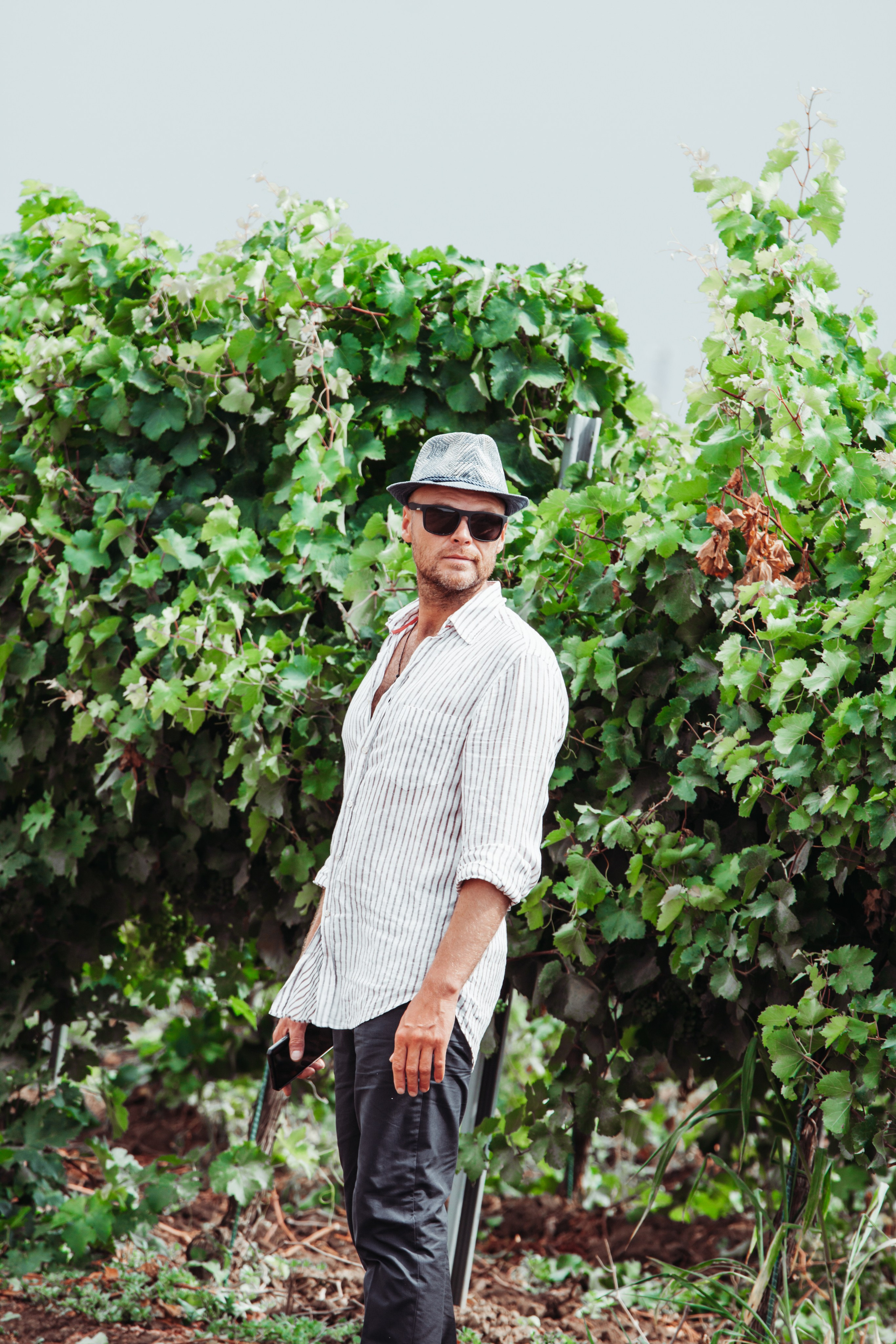 Kuban vineyards. Дария Галямова — фотограф: открытый, творческий, коммерческий