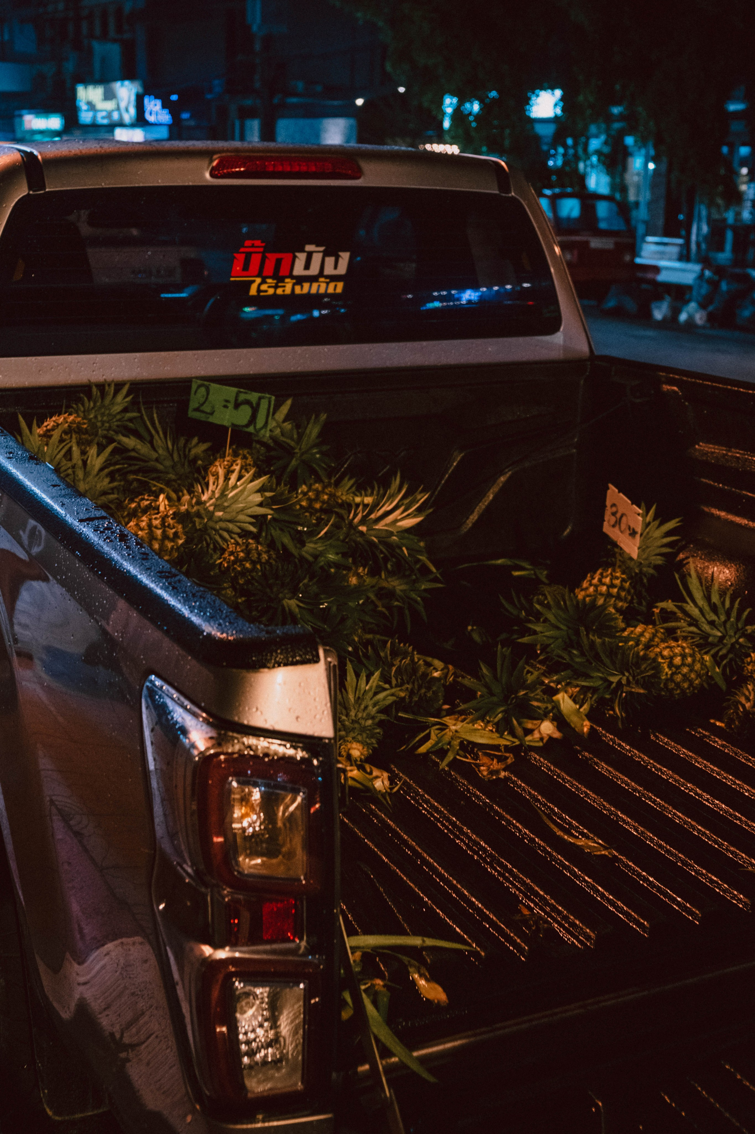 Путешествия. Контент-фотограф и видеограф в Перми