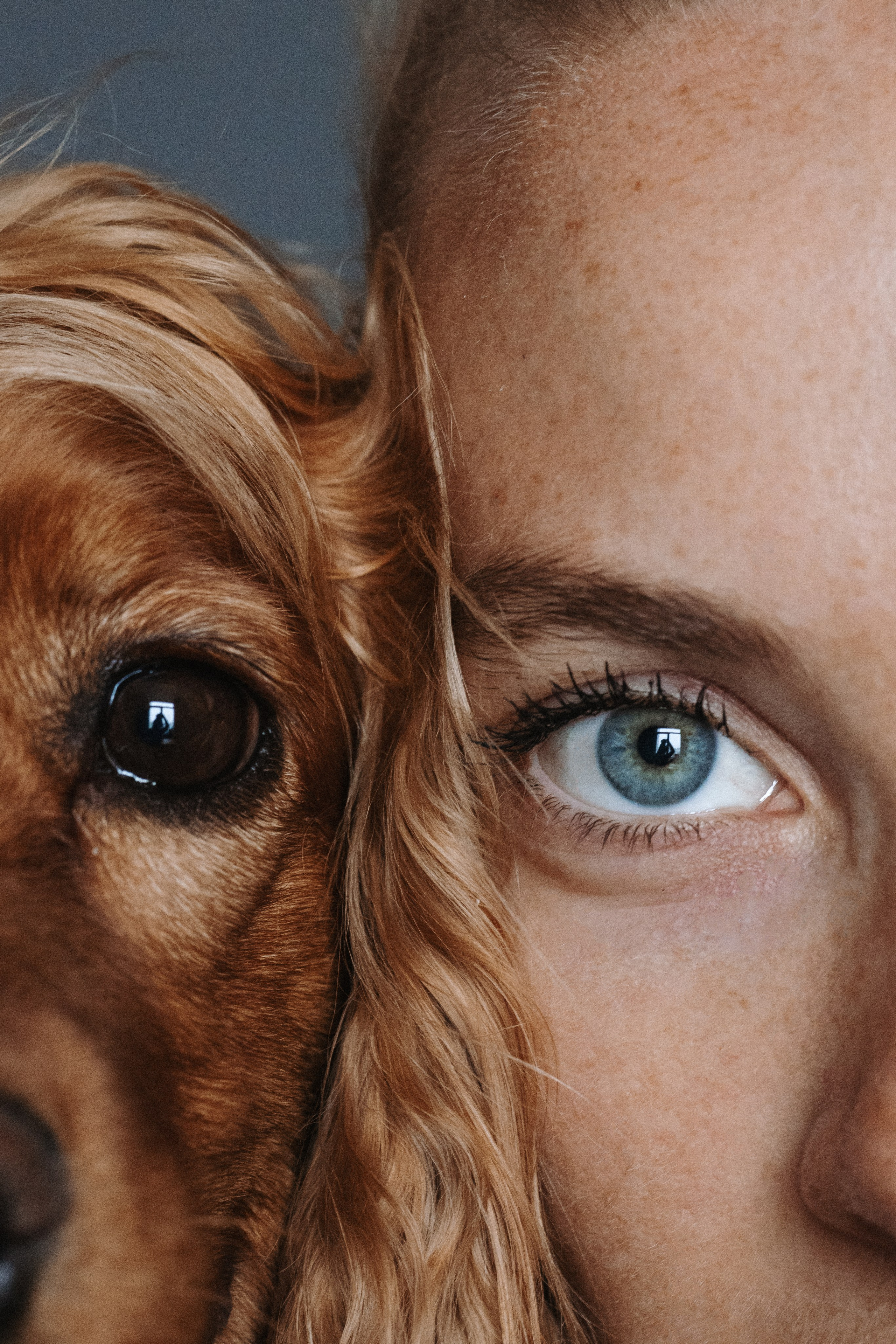 Animal Friendly. Фотограф на Юге России