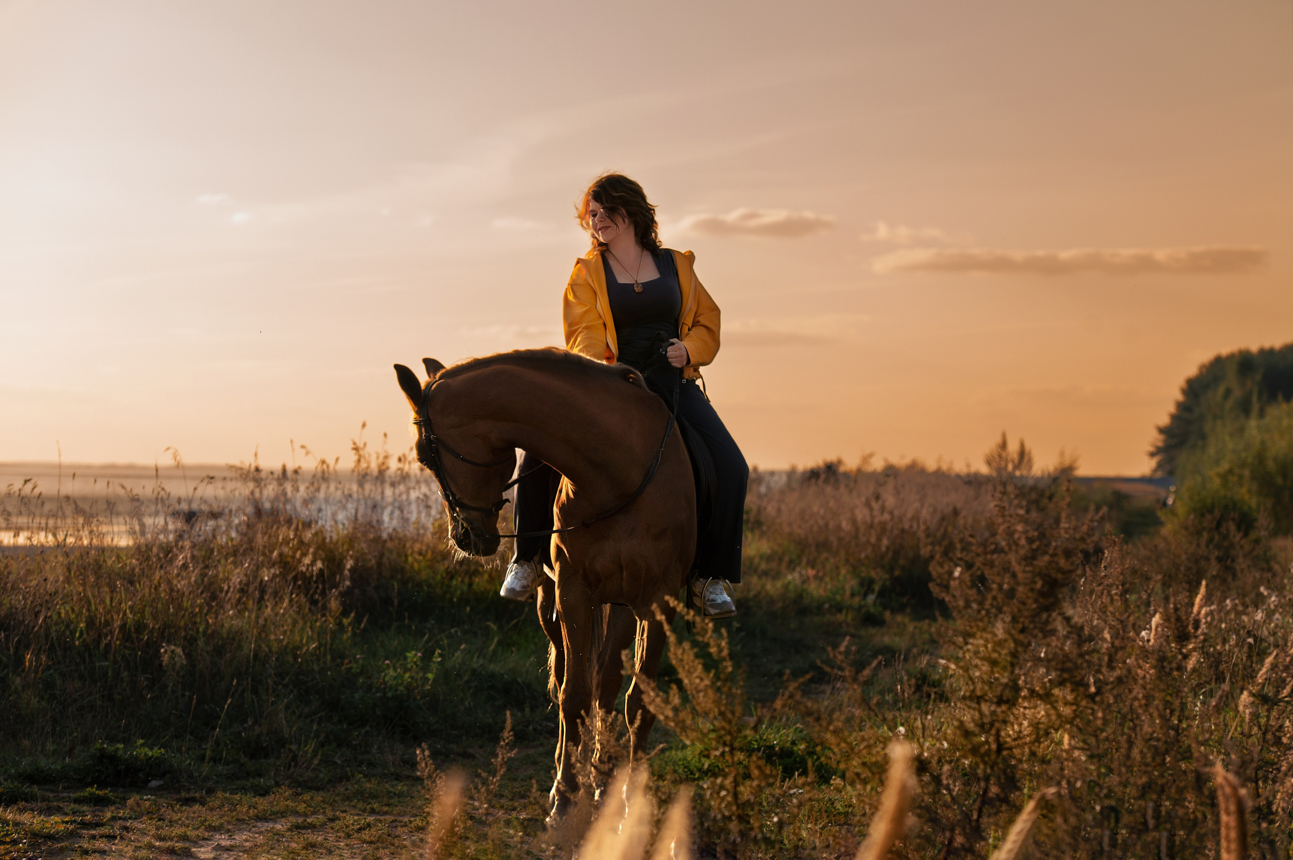 Фотосессии с лошадьми. Фотограф Евгения Соколова