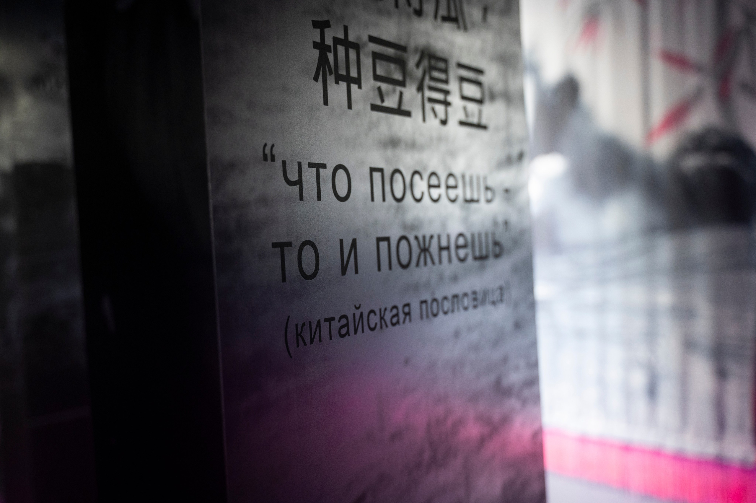 Красноярская музейная биеннале. Artist Anna Snegina Художница Анна Снегина