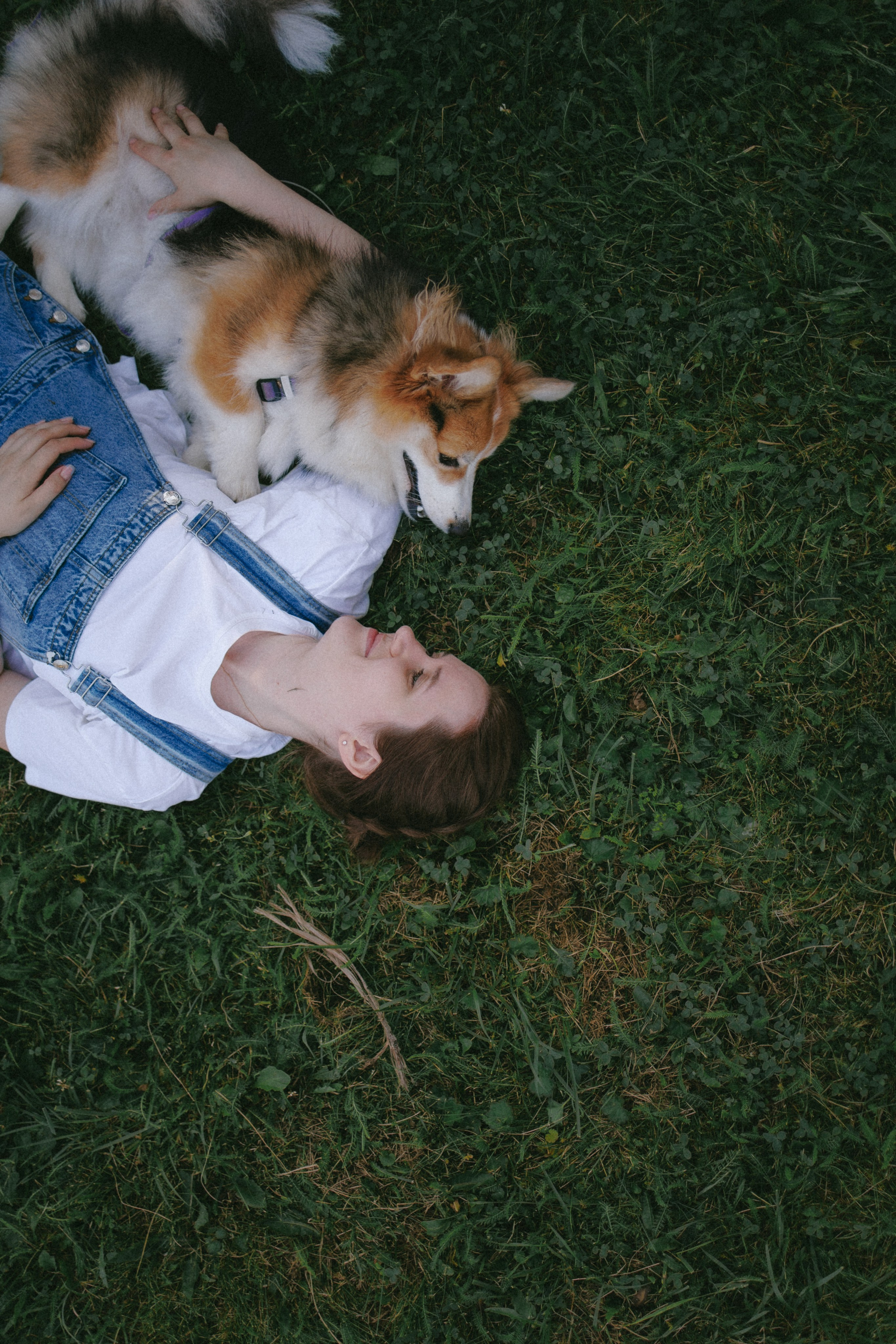 Мишель и Влада. Фотораф — анималист Мария Шистка