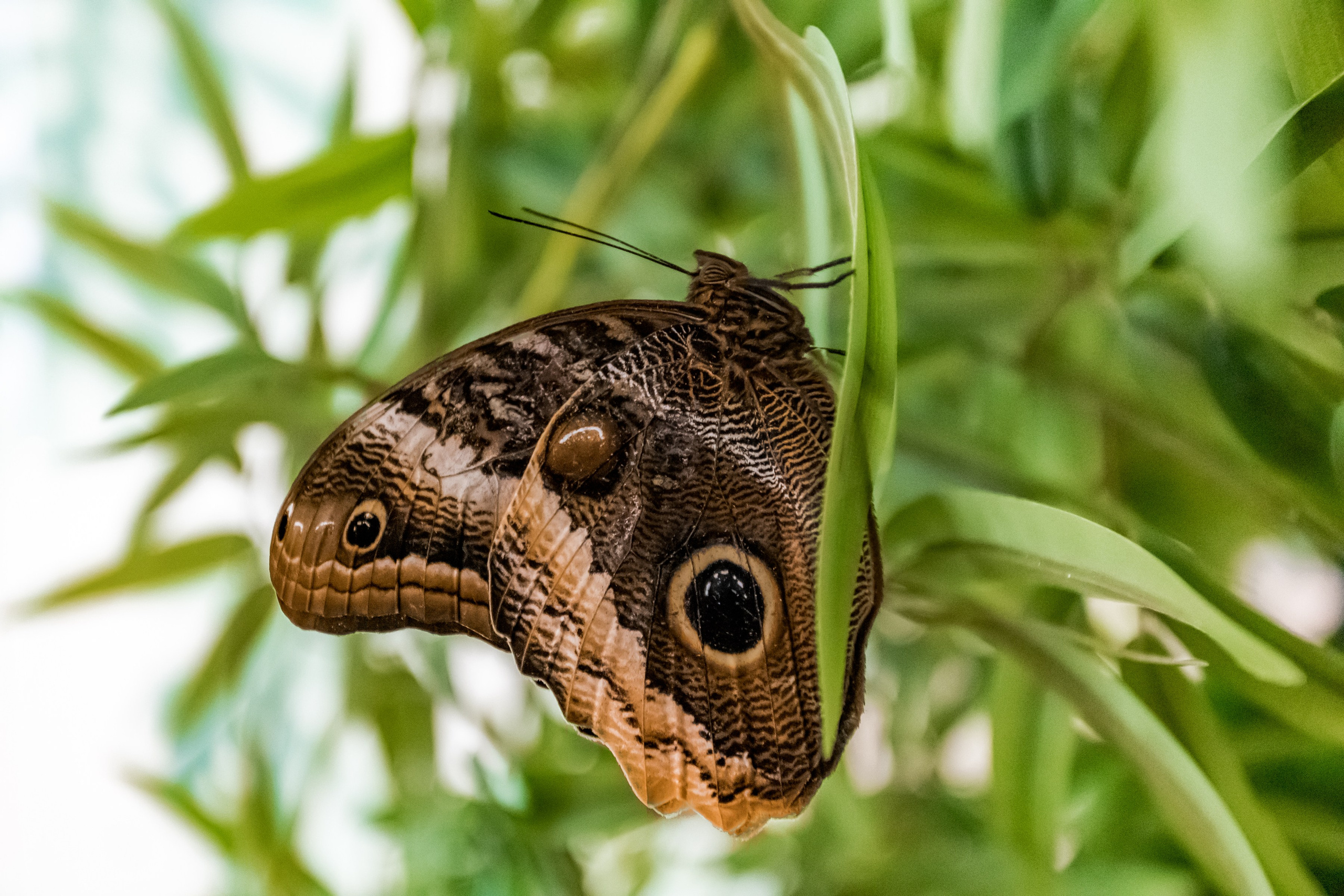 Фотосъемка коммерческих помещений для сайта, карт, соц.сетей. Интерьеры, Контент, Портреты | Фотограф в Москве Дани Терно