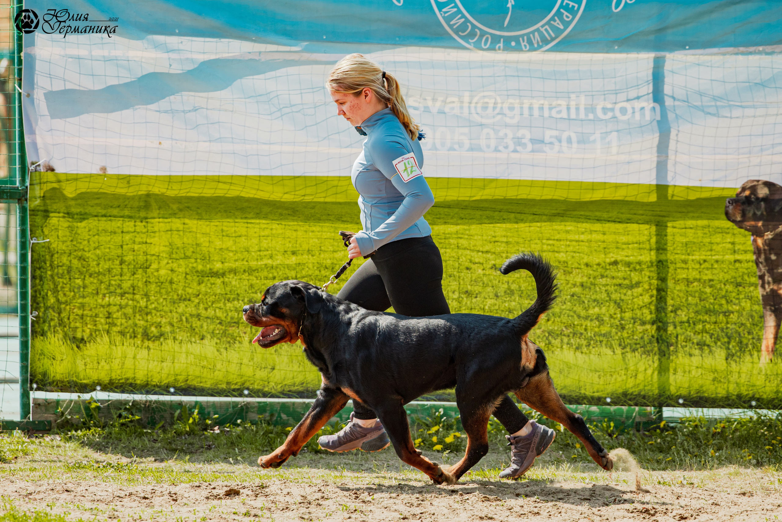 Саратов моно ротвейлеров 26-27.04.2025. Фотограф-анималист Юлия Германика
