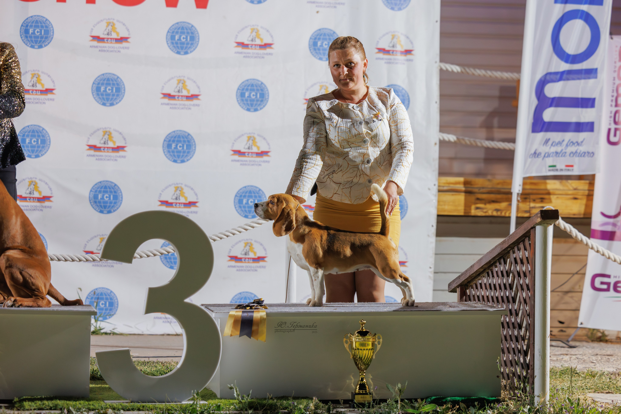 Ереван 3хCACIB 23-25.06.2025. Фотограф-анималист Юлия Германика