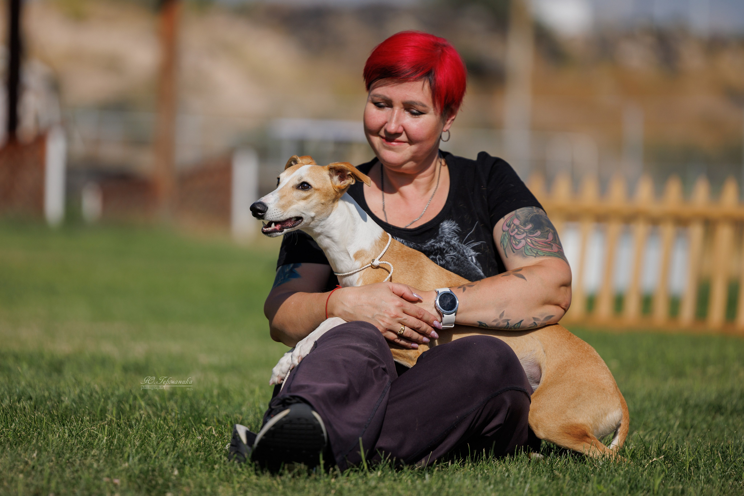 Ереван 3хCACIB 23-25.06.2025. Фотограф-анималист Юлия Германика