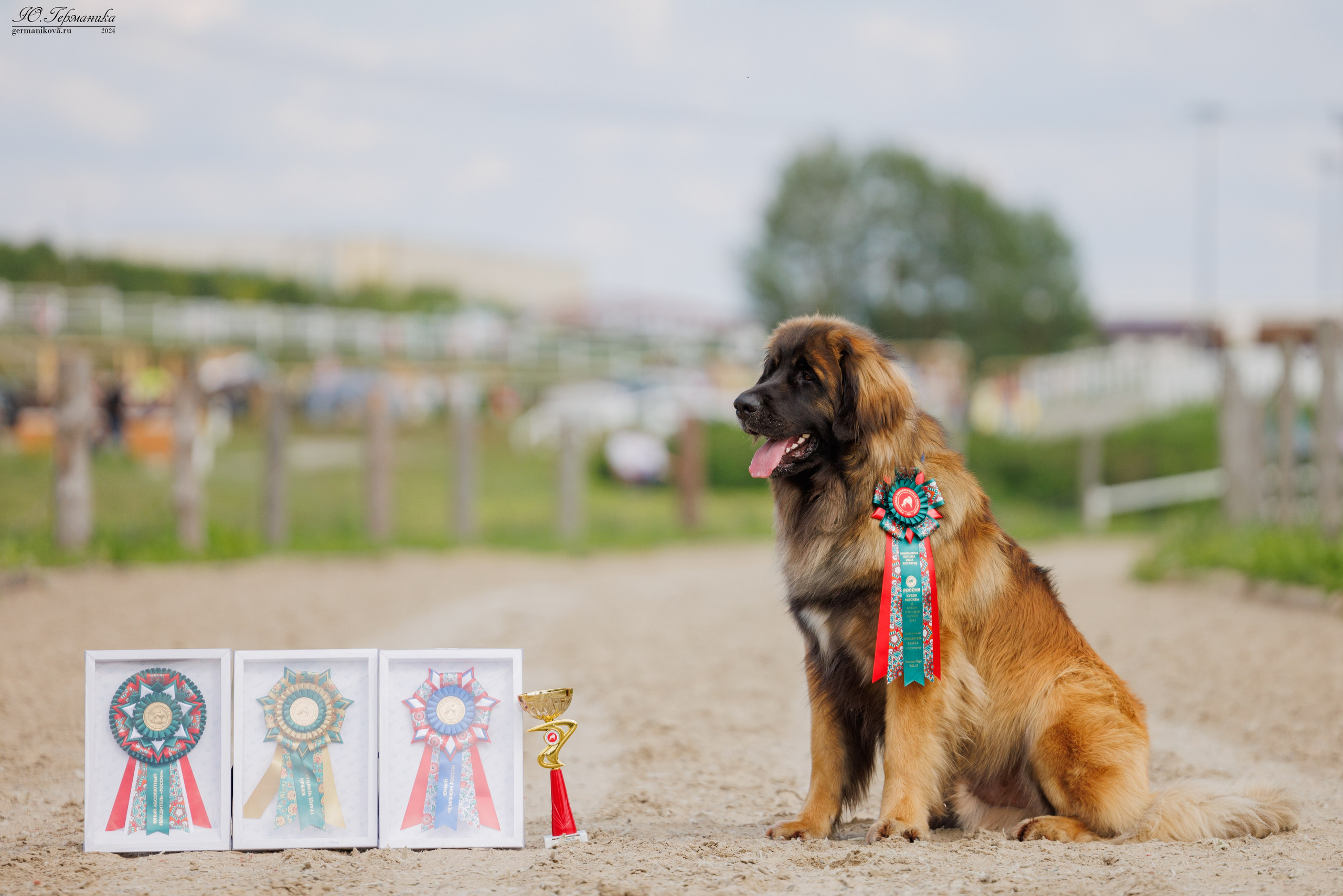 РОССИЯ 8-9.06.2024. Фотограф-анималист Юлия Германика
