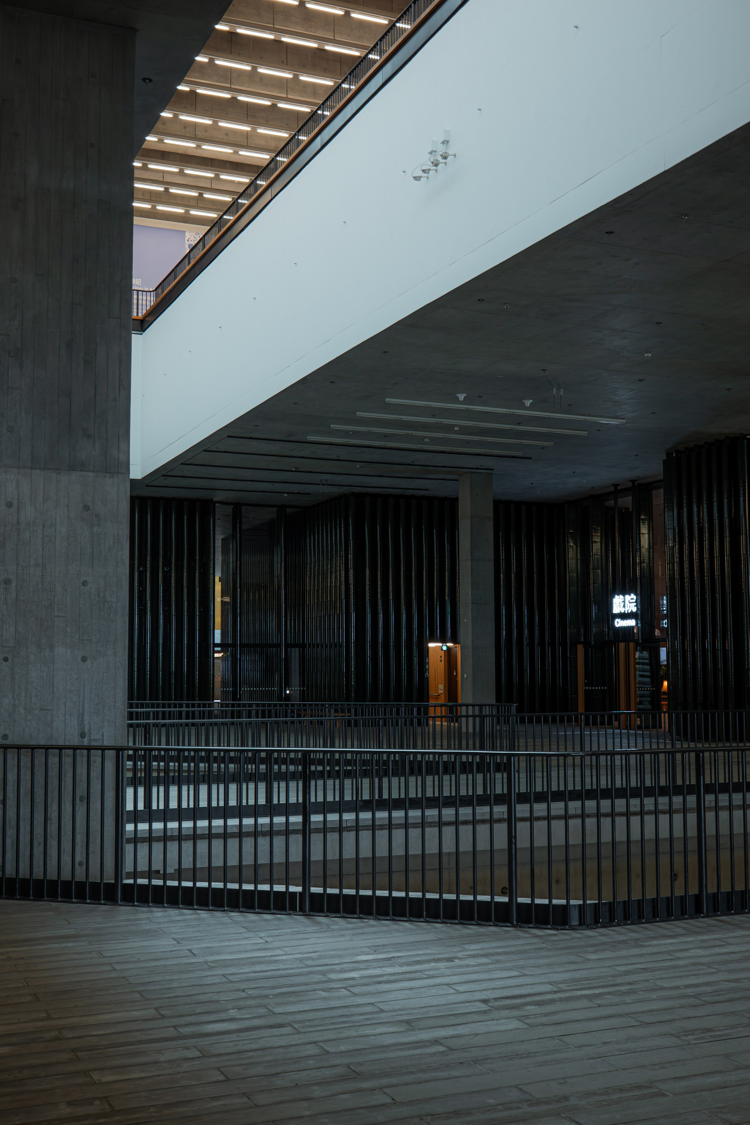 ГОНКОНГ 2026. Фото| Видео продакшн | Александр Ярков