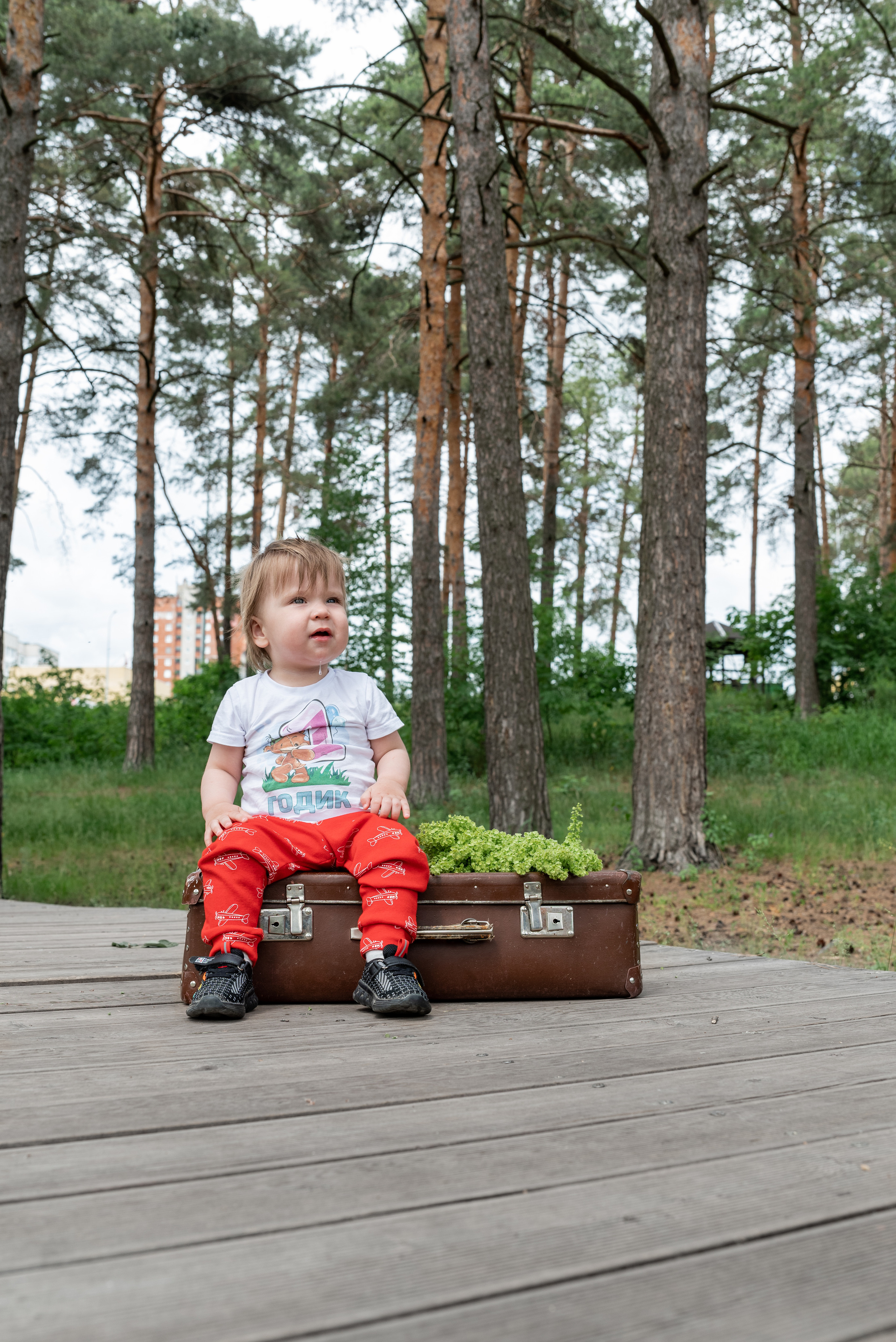 Сашеньке и Кирюше 1 годик. Свадебный и семейный фотограф в Дзержинске Екатерина Шулакова
