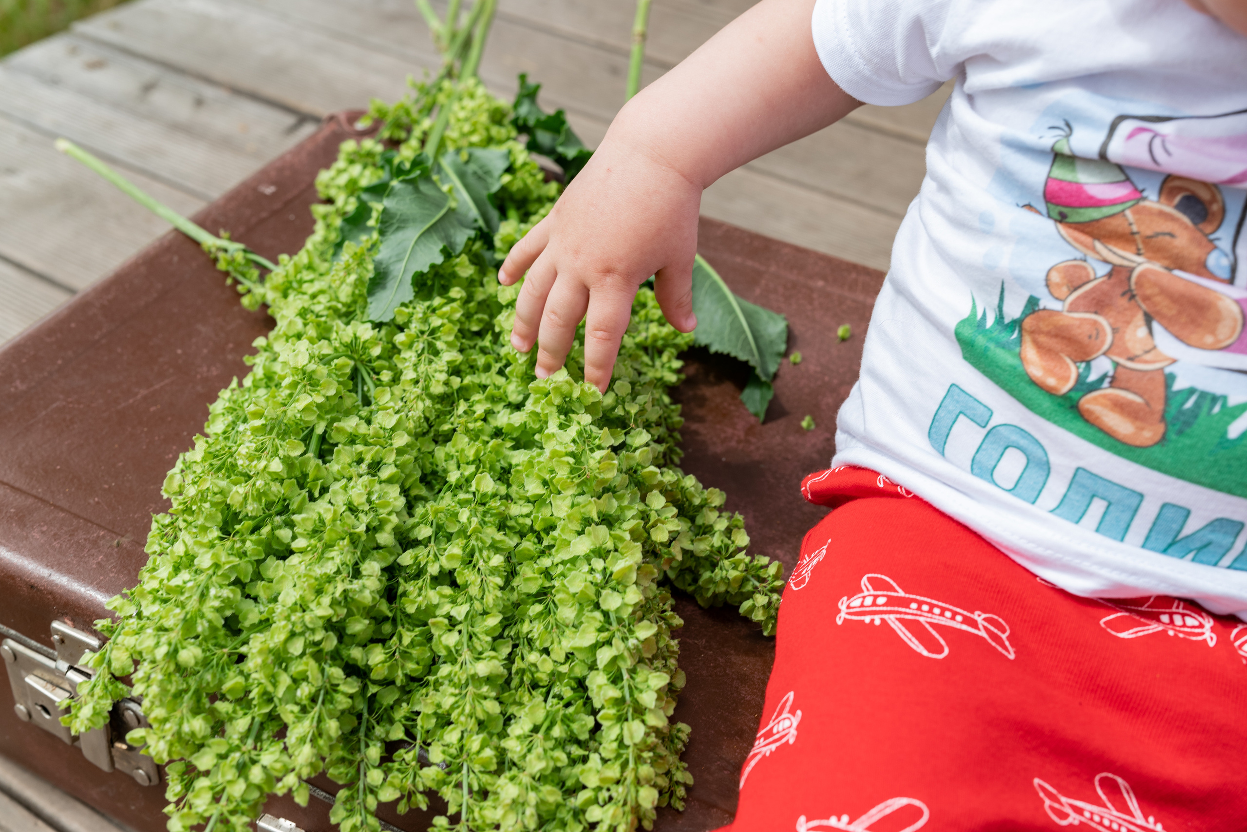 Сашеньке и Кирюше 1 годик. Свадебный и семейный фотограф в Дзержинске Екатерина Шулакова