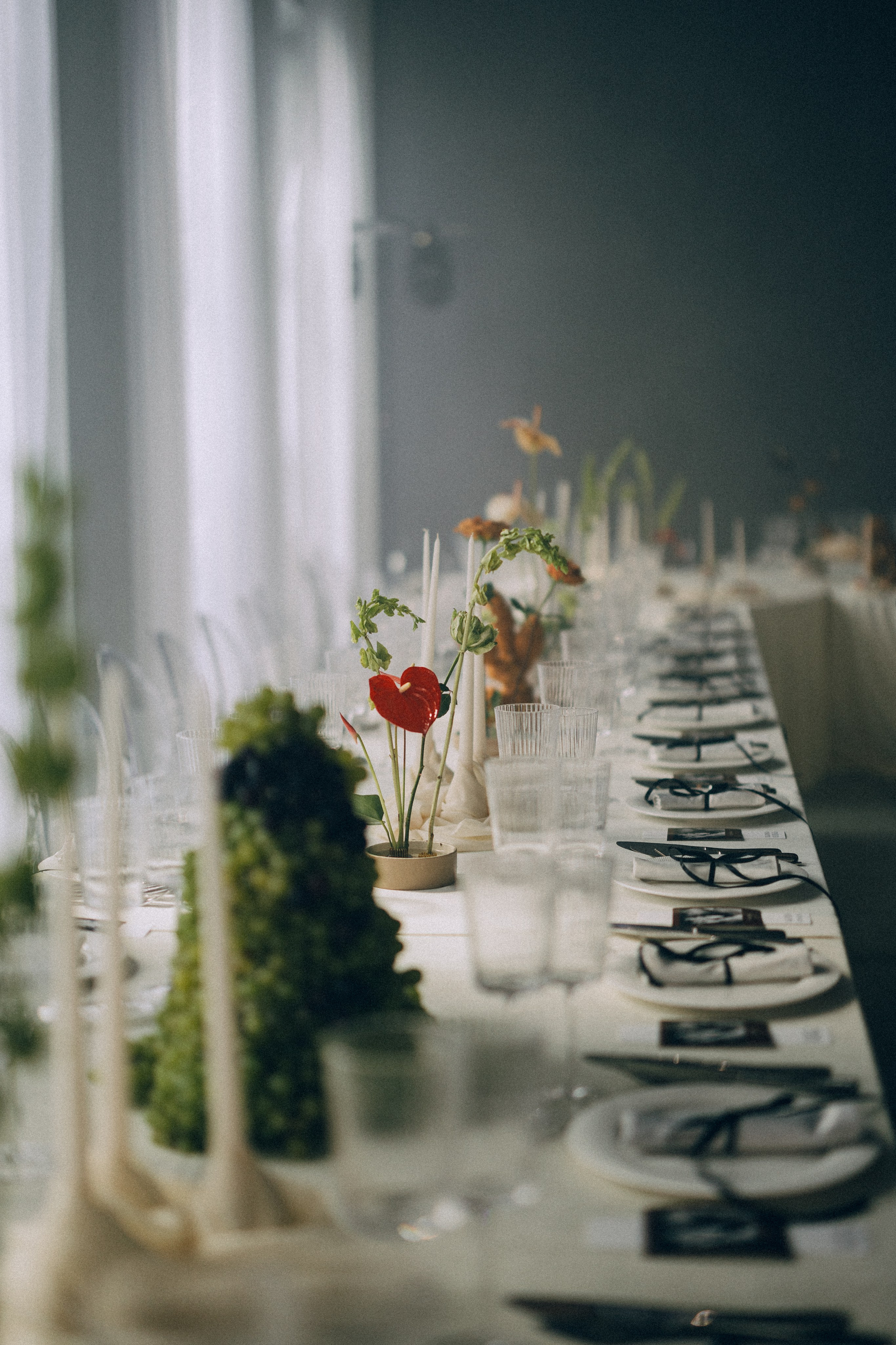 Вот это да, у меня теперь есть жена…. Daria Chigintseva Photographer