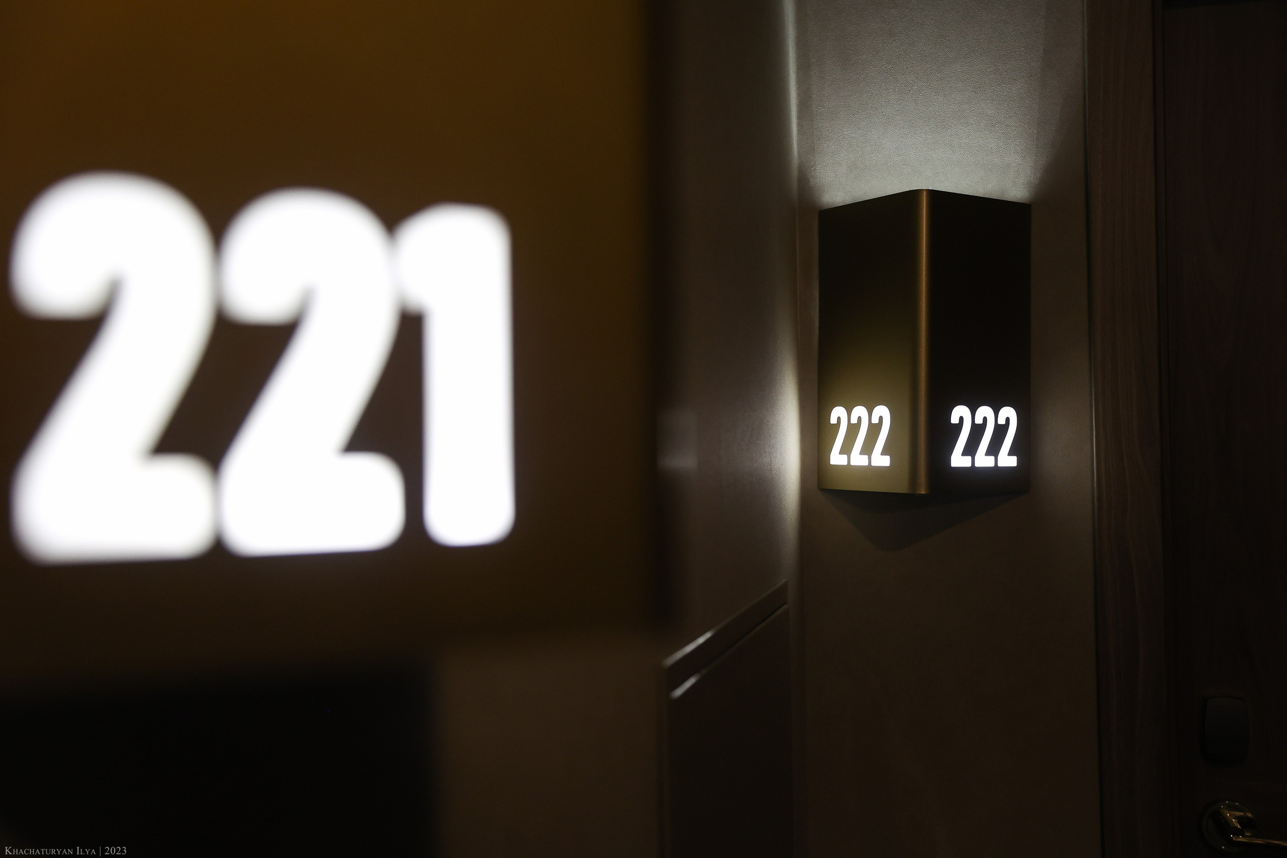 Vladimir & Zlata. Фотограф Илья Хачатурян