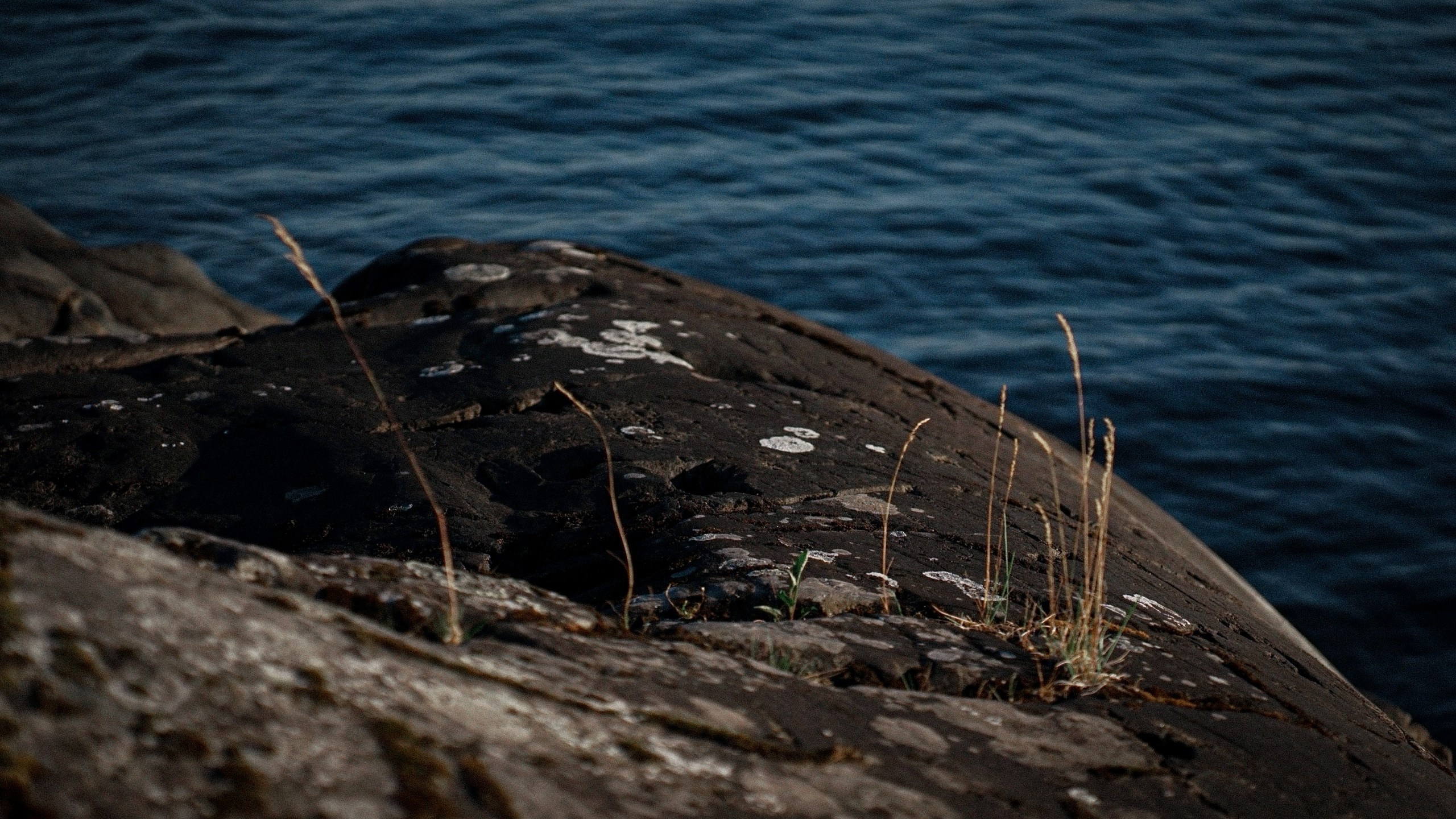 Ladoga skerries. Reign of silence. Portrait and reportage photographer Rezeda Iuzmeeva