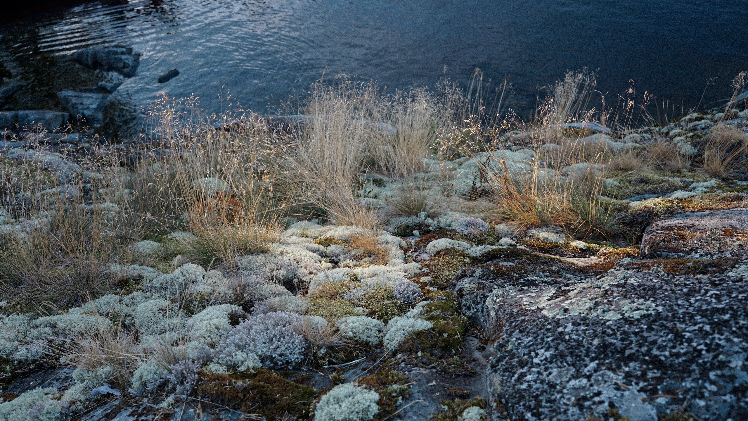 Ladoga skerries. Reign of silence. Portrait and reportage photographer Rezeda Iuzmeeva
