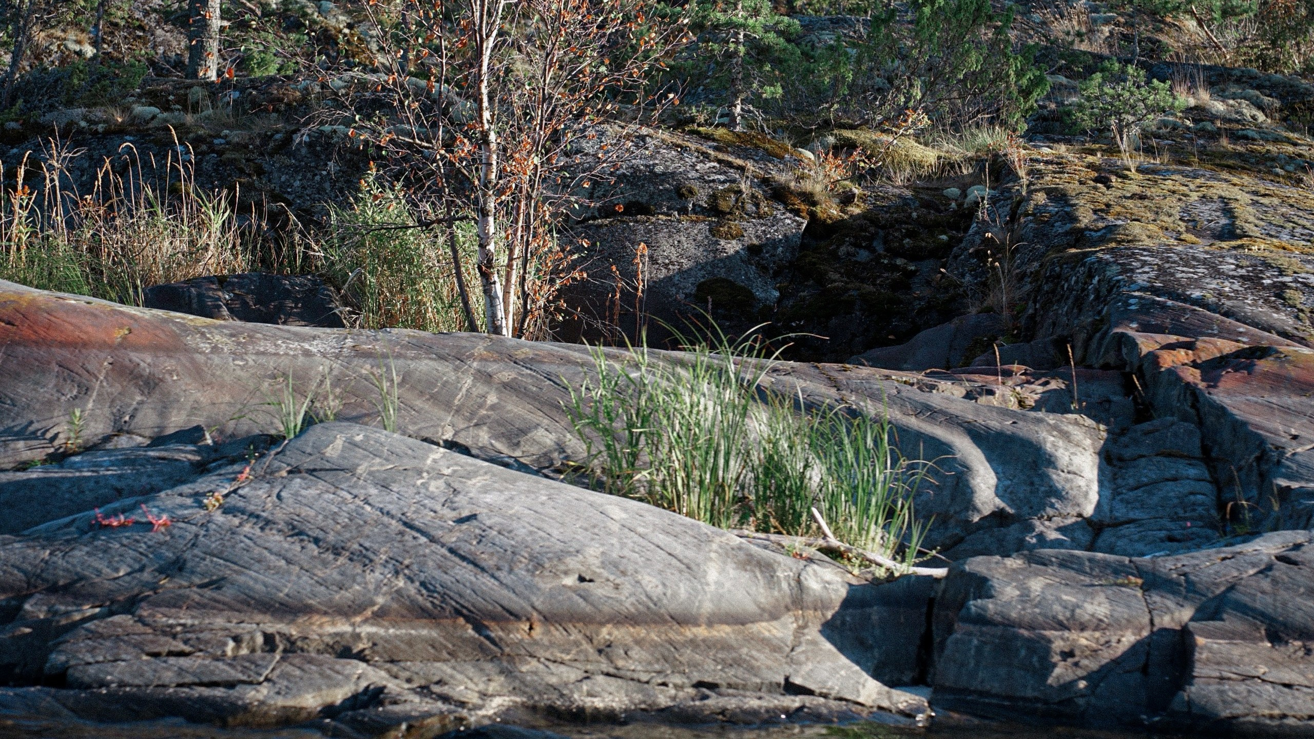 Ladoga skerries. Reign of silence. Portrait and reportage photographer Rezeda Iuzmeeva