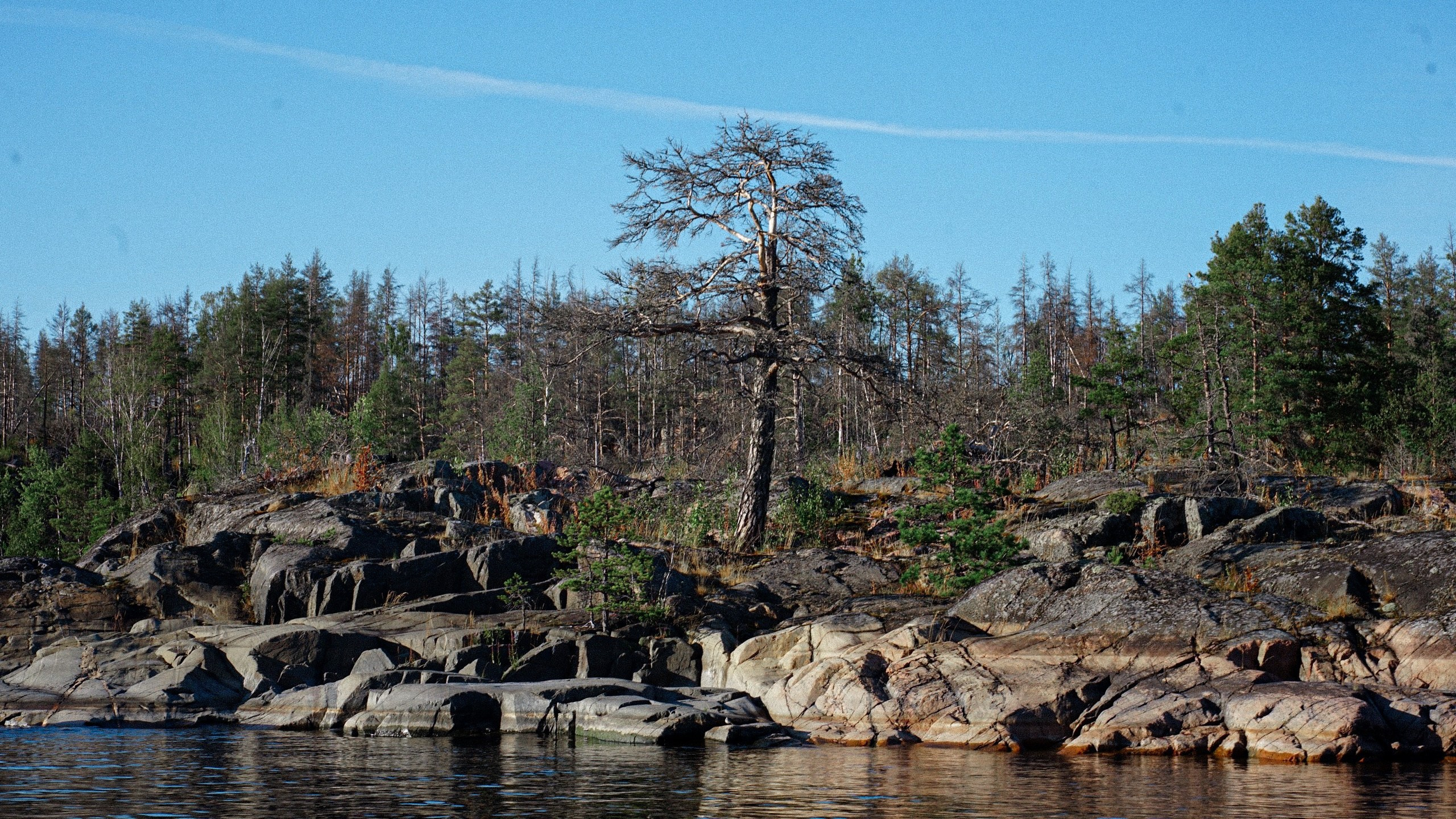 Ladoga skerries. Reign of silence. Portrait and reportage photographer Rezeda Iuzmeeva