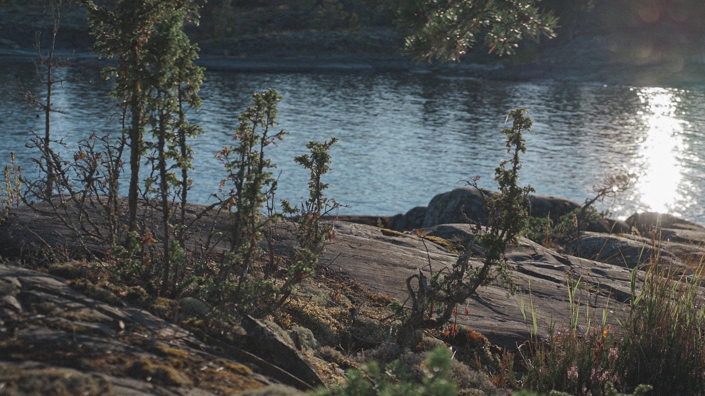 Ladoga skerries. Reign of silence. Portrait and reportage photographer Rezeda Iuzmeeva