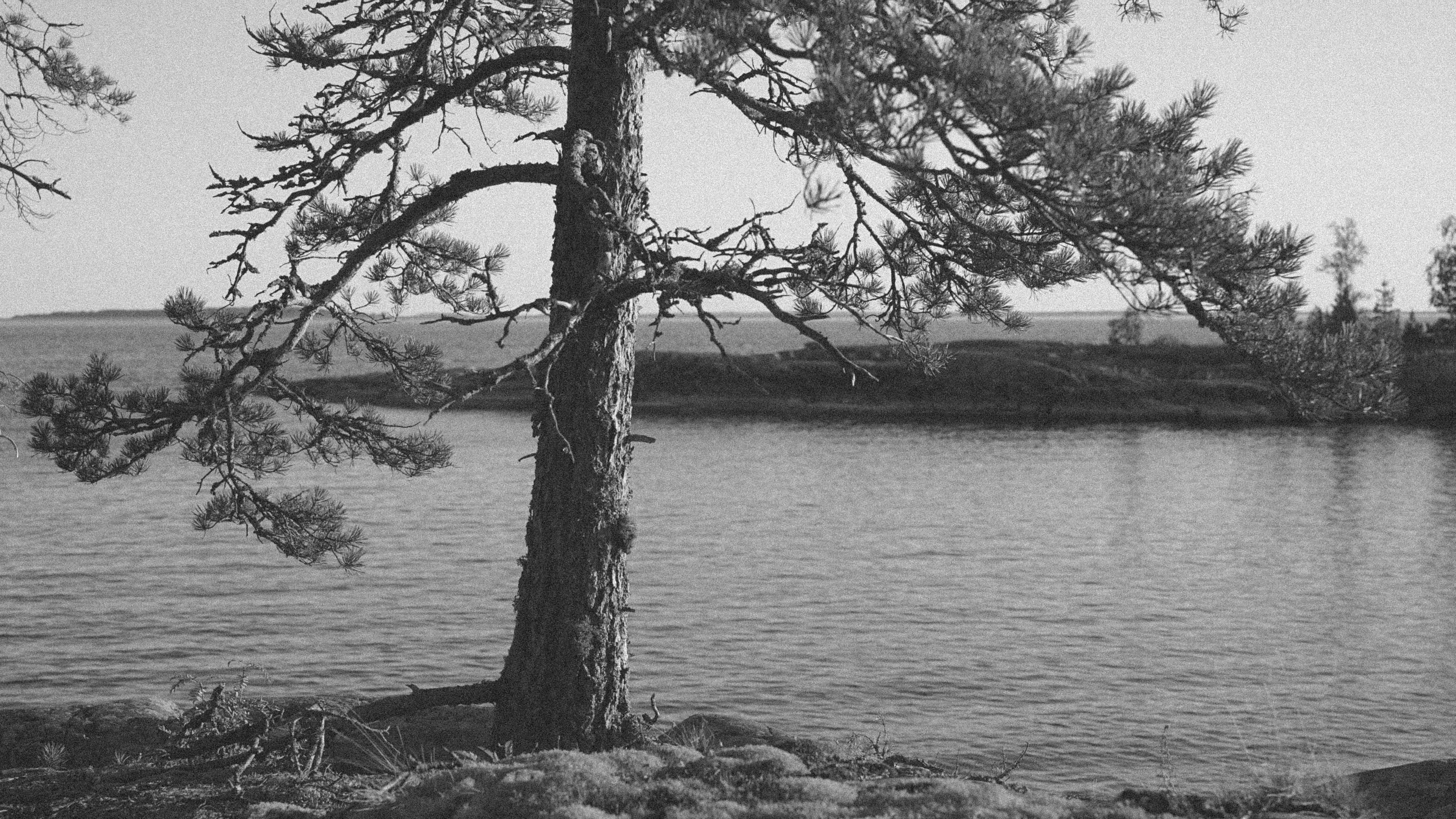 Ladoga skerries. Reign of silence. Portrait and reportage photographer Rezeda Iuzmeeva