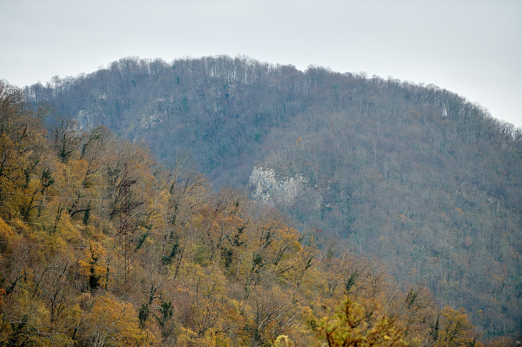 Гагра, Абхазия. Декабрь 2024. Фотографии отовсюду и обо всем
