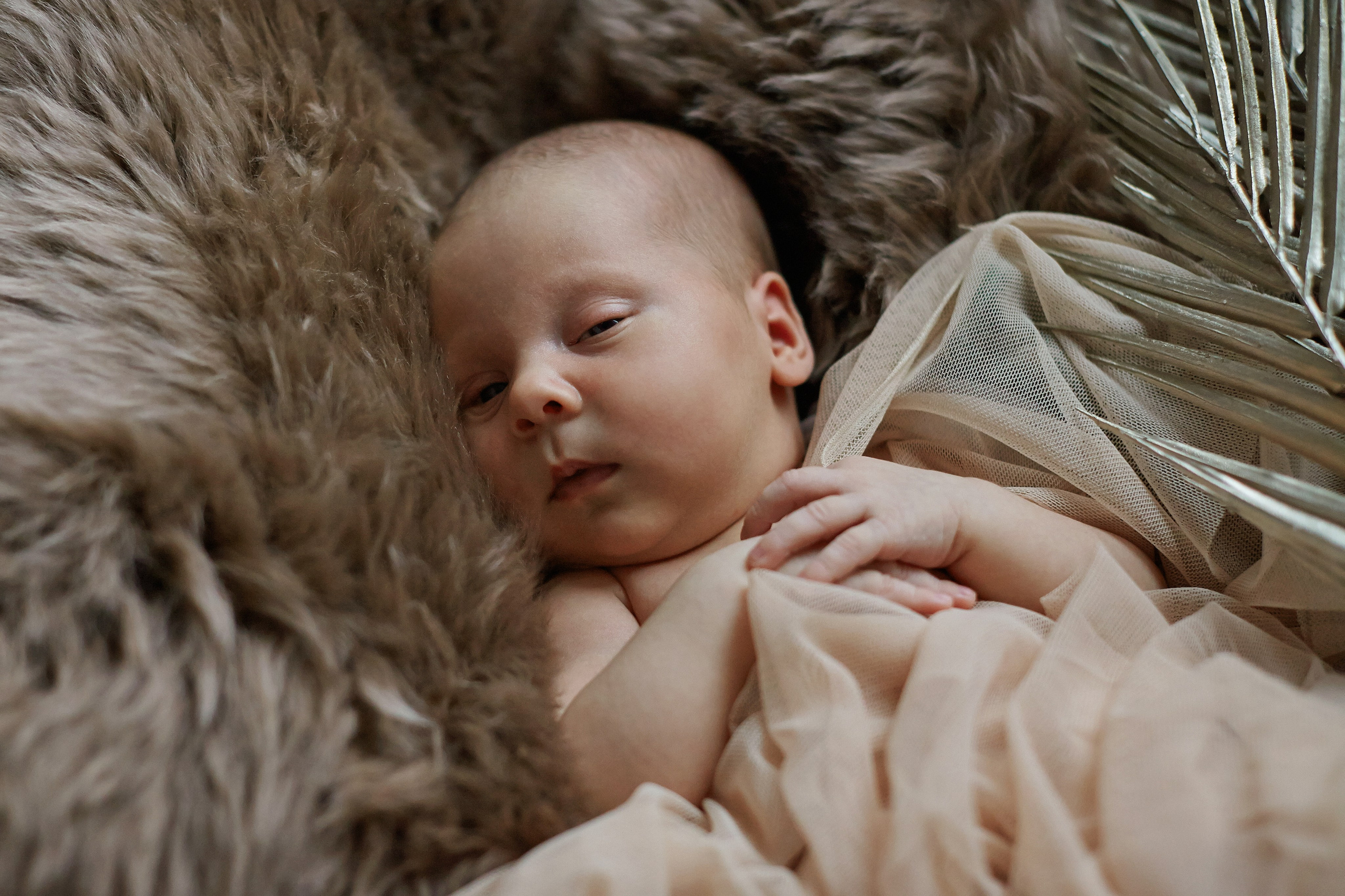 Есения. Фотограф Ольга Ефремова