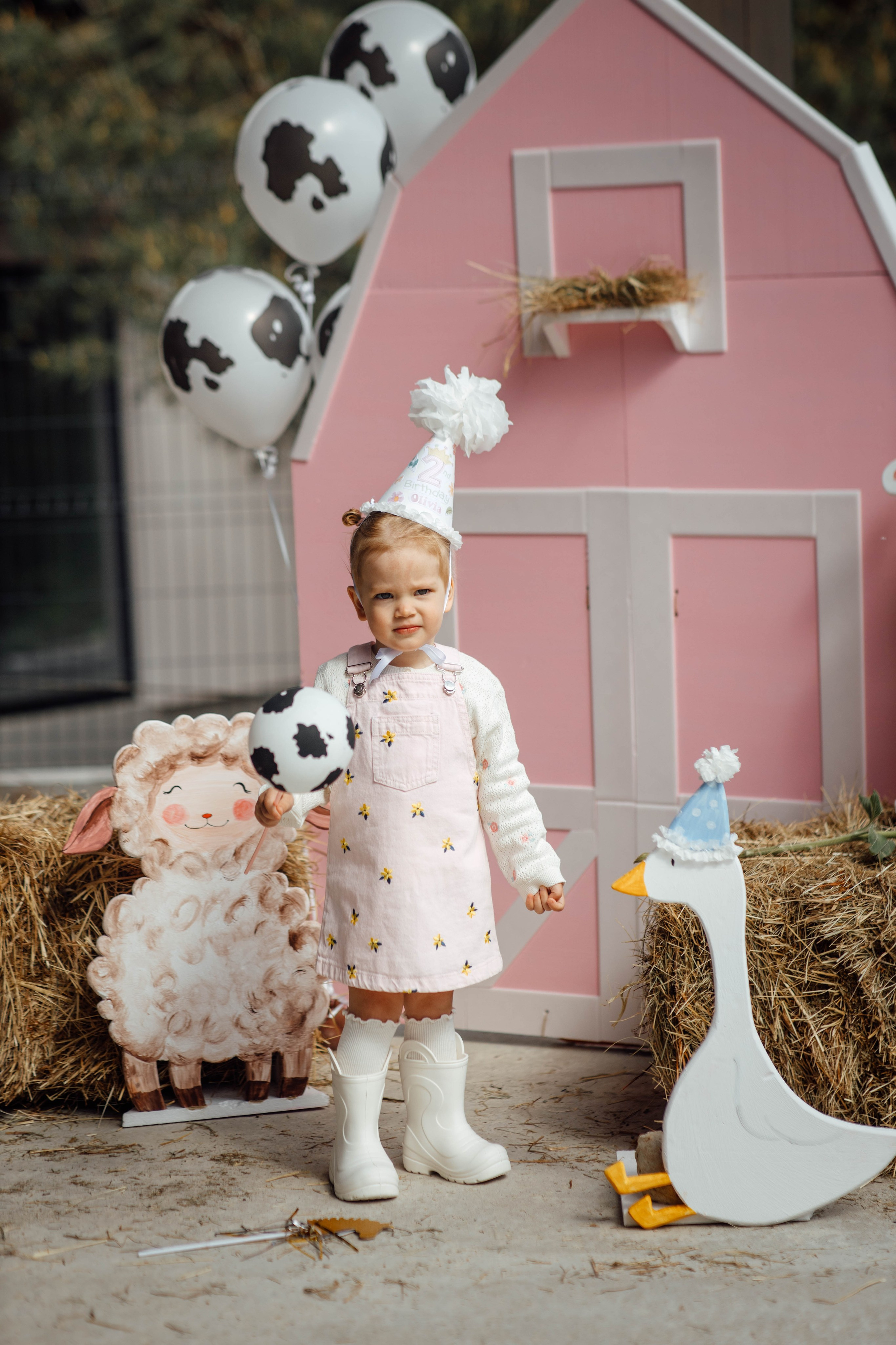 Репортаж дома, др