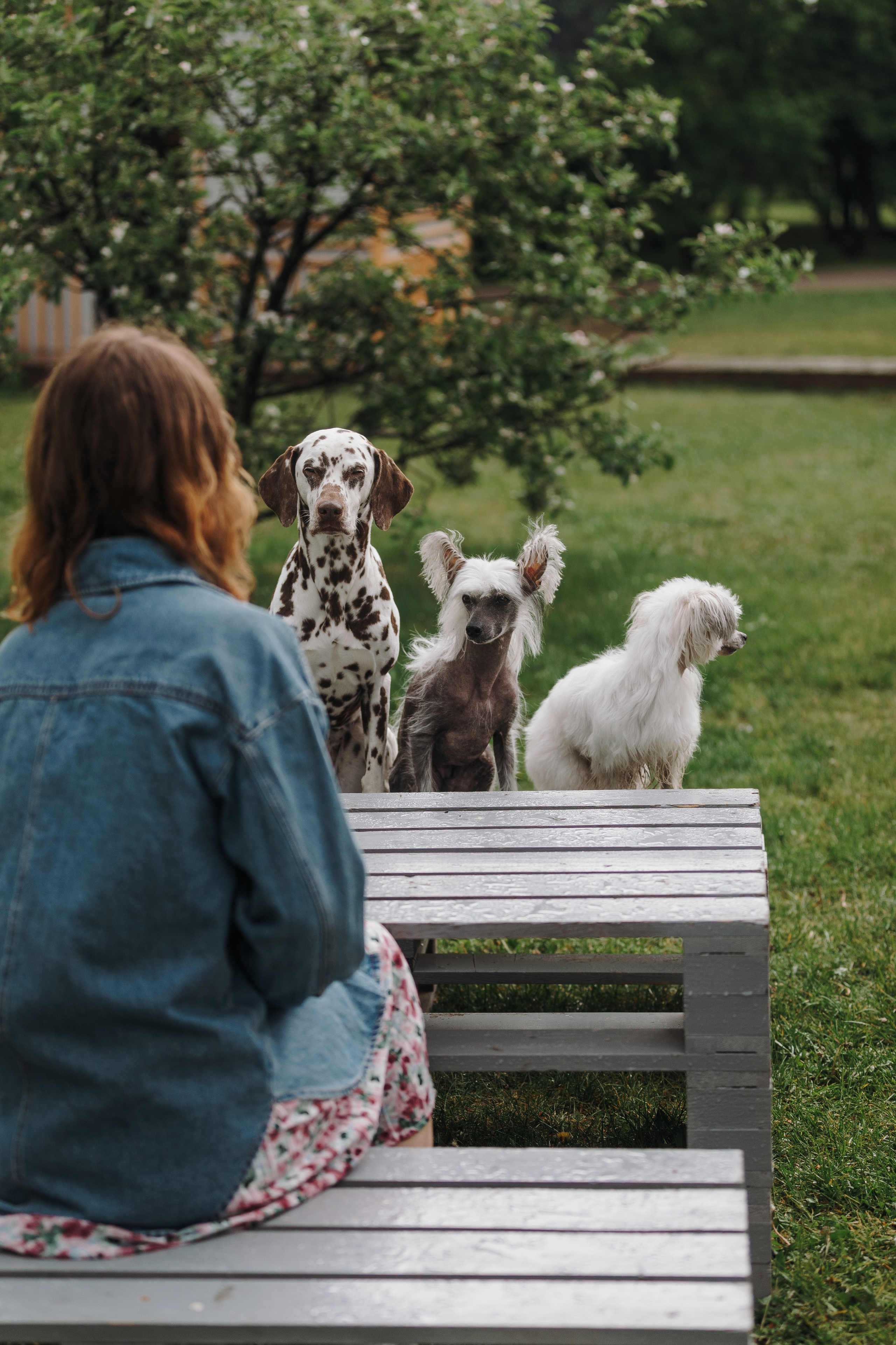 Лили, Уся, Вика и их семья. Фотограф анималист Кристина Карпова, Москва