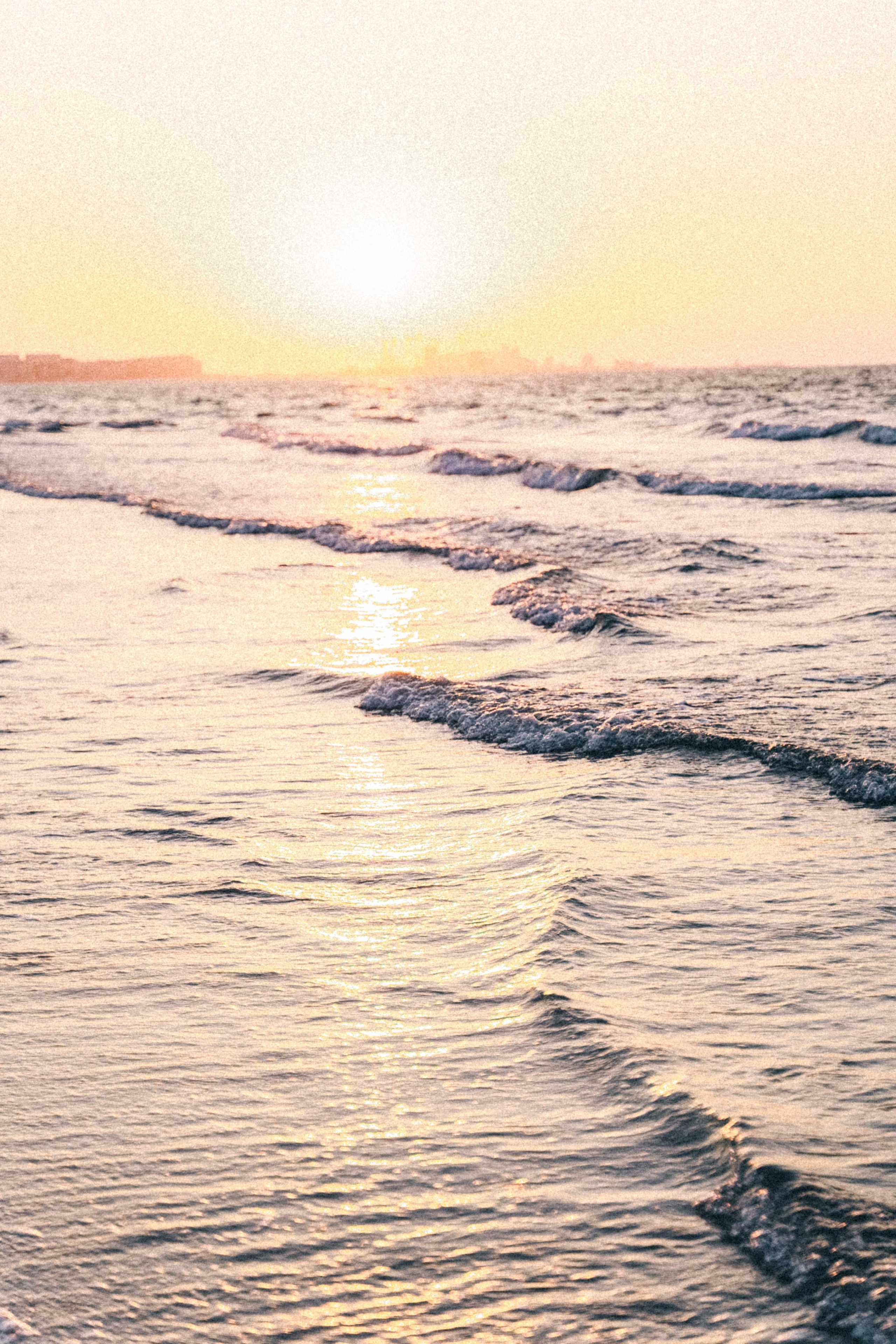 Японско-французская свадьба в эмиратах. Фотограф и видеограф в Москве и Абу Даби Мария Кулагина