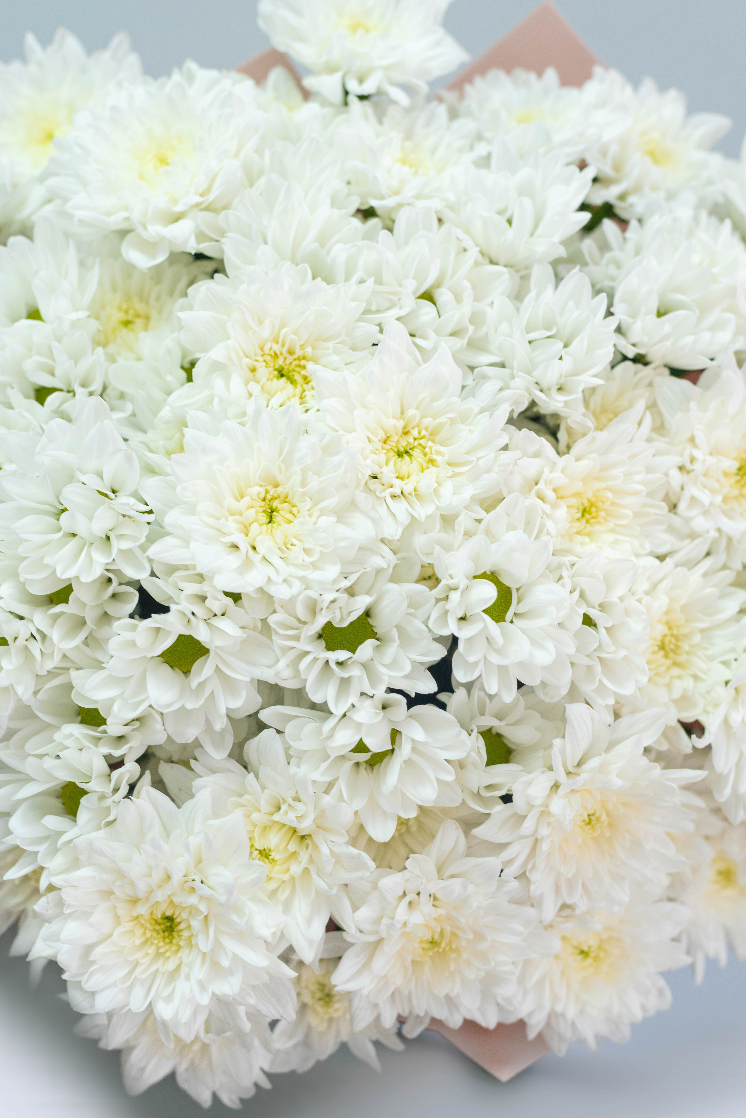 Фотосъемка букетов. Фотограф и видеограф в Москве и Абу Даби Мария Кулагина