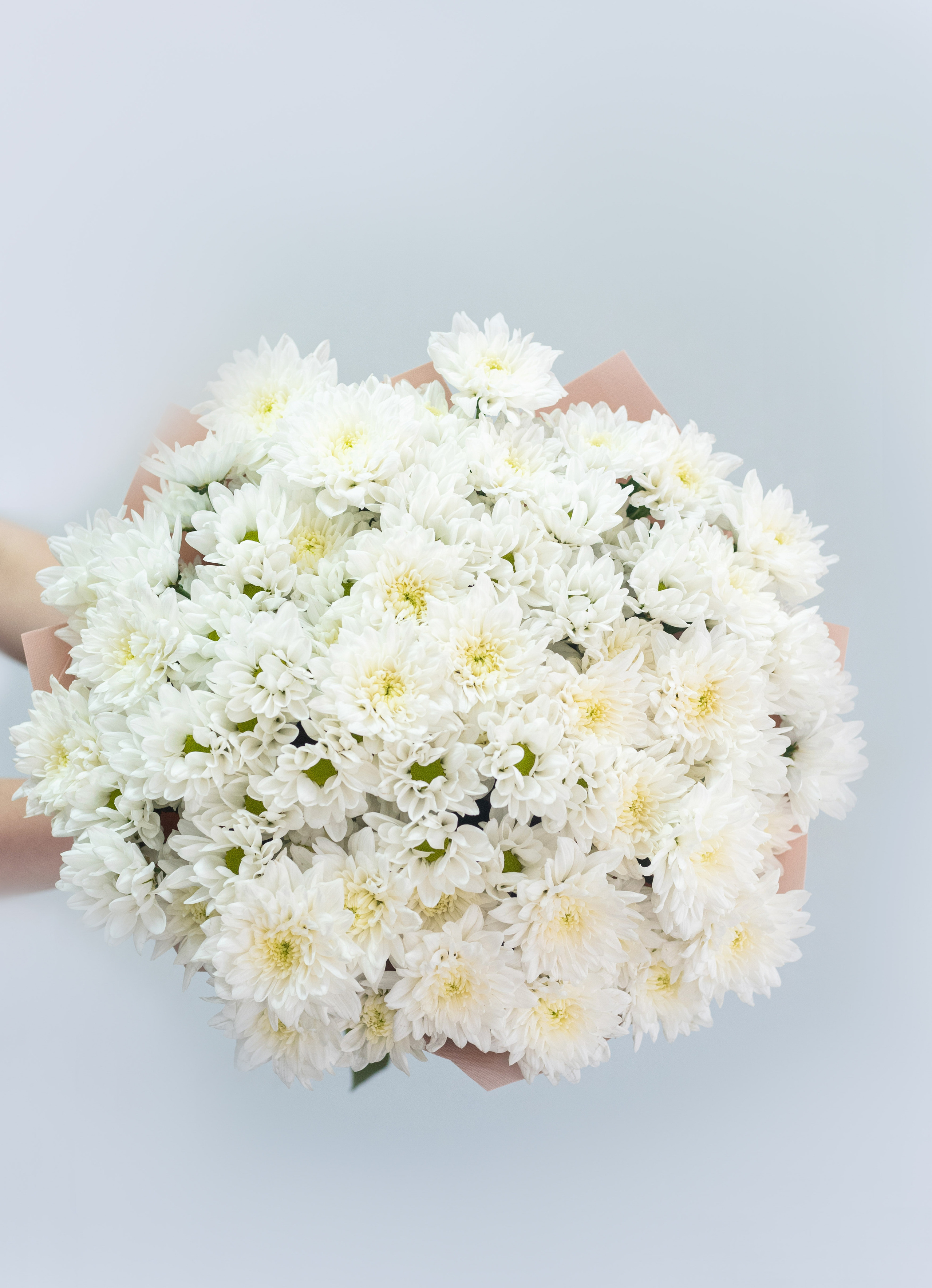 Фотосъемка букетов. Фотограф и видеограф в Москве и Абу Даби Мария Кулагина