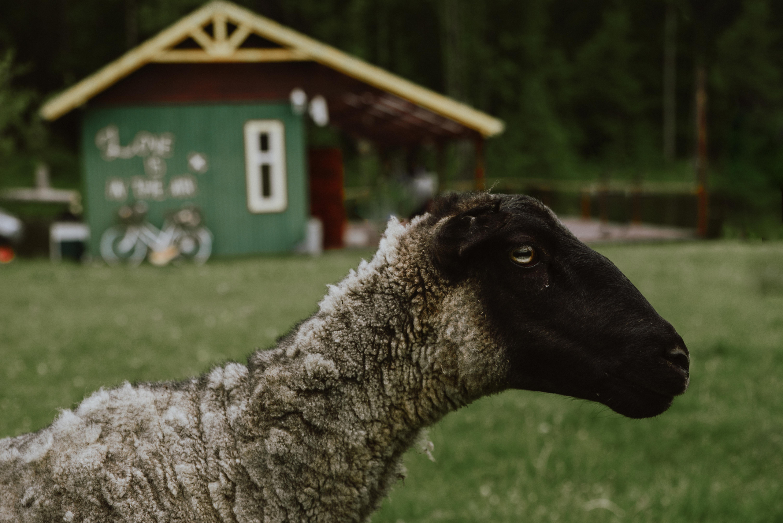 Без вай фая в coutry club polyana. Фотограф и видеограф в Москве и Абу Даби Мария Кулагина