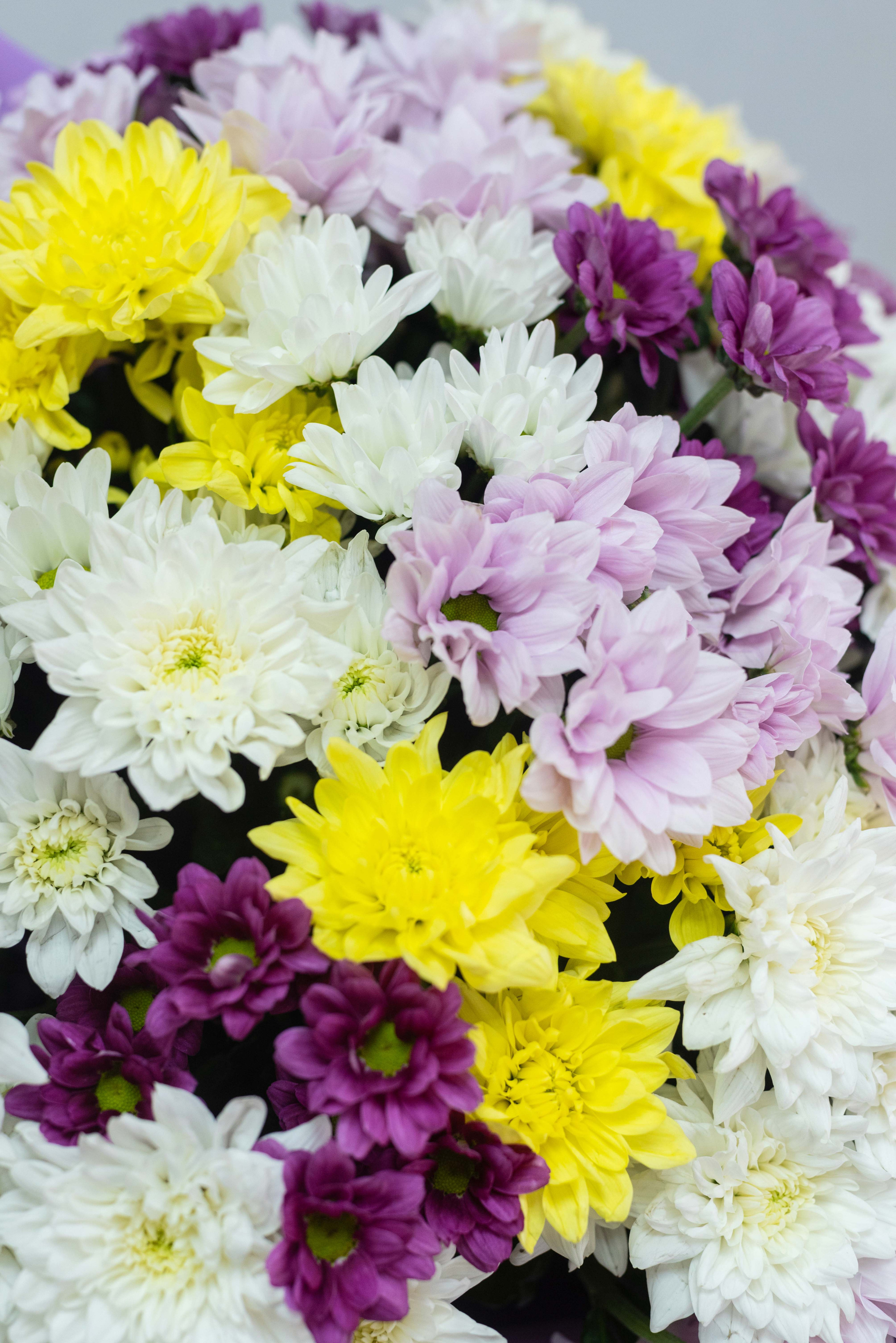 Фотосъемка букетов. Фотограф и видеограф в Москве и Абу Даби Мария Кулагина