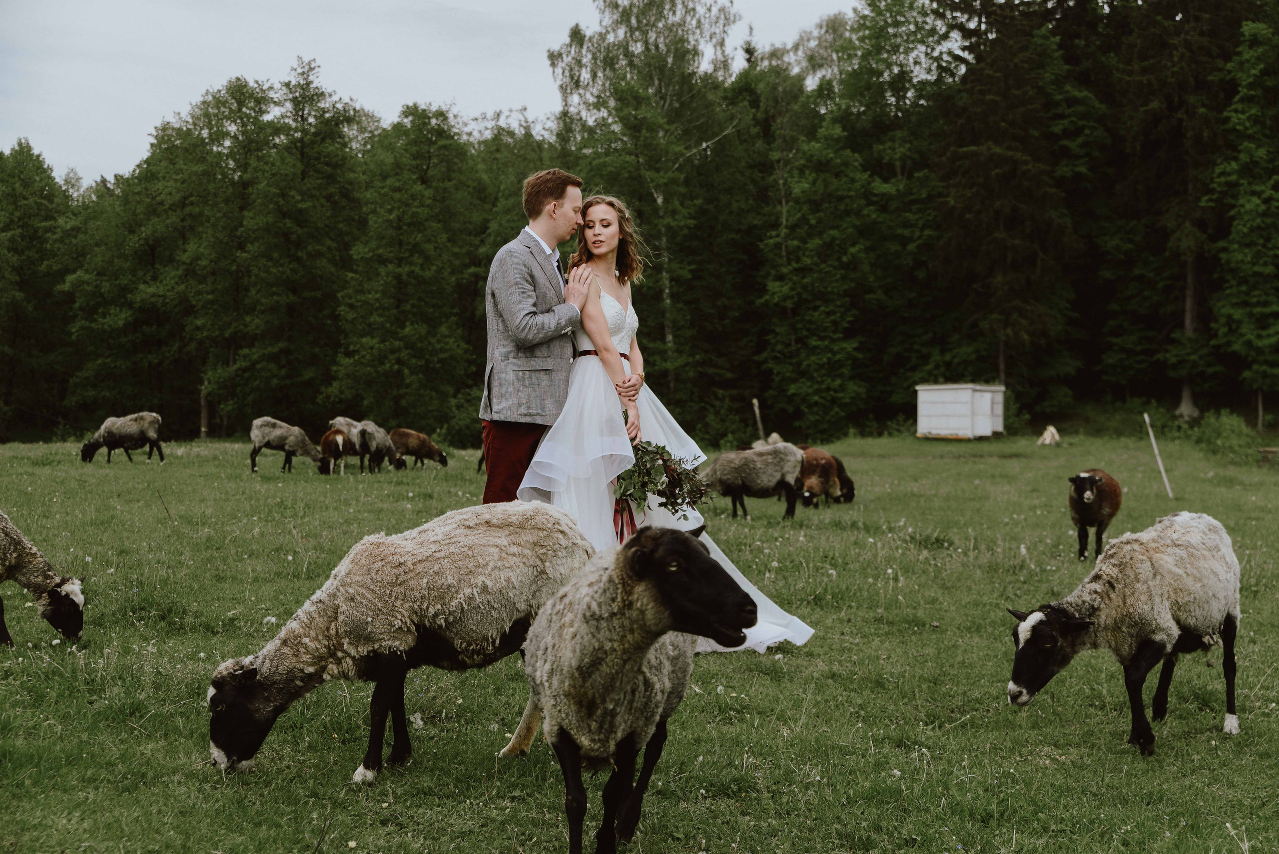 Без вай фая в coutry club polyana. Фотограф и видеограф в Москве и Абу Даби Мария Кулагина