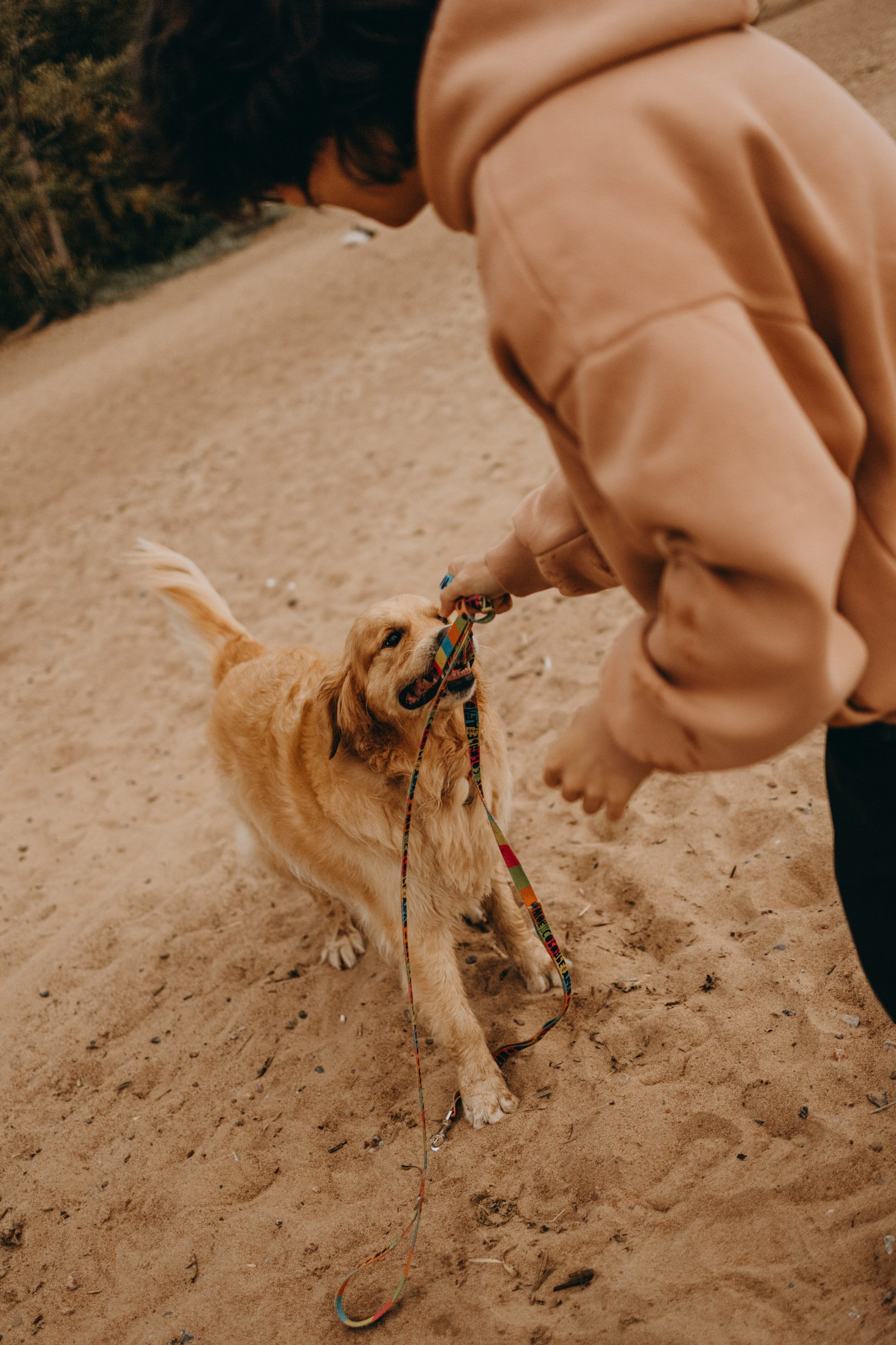 Фоси и его семьи. Фотограф — Анималист | Санкт-Петербург