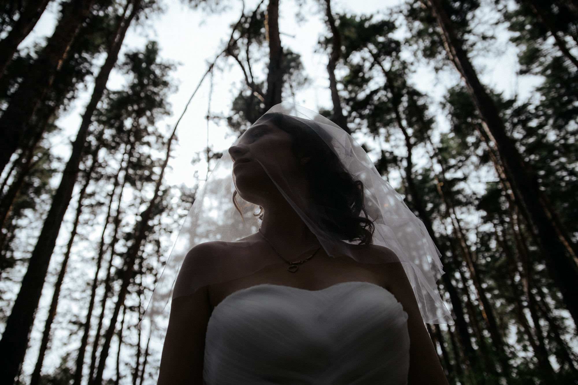 Свадьбы. Фотограф в Ростове-на-Дону и Краснодаре Роман Кудрявцев