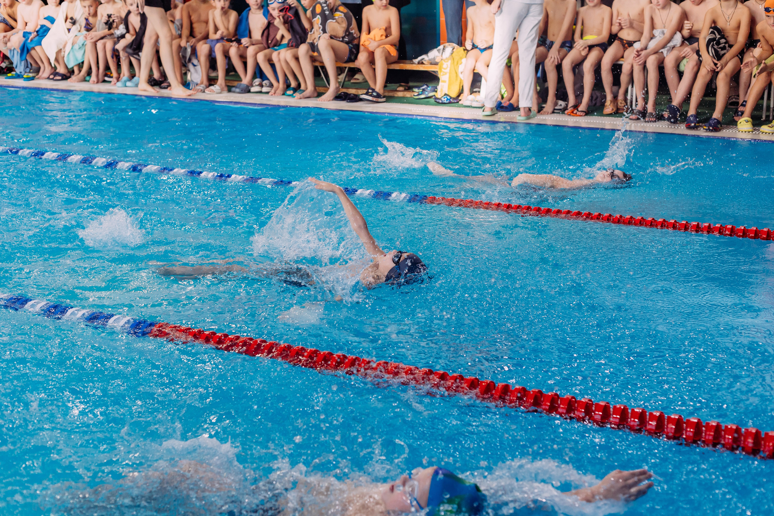Соревнования по плаванию. Семейный фотограф в Волгограде Надежда Головко