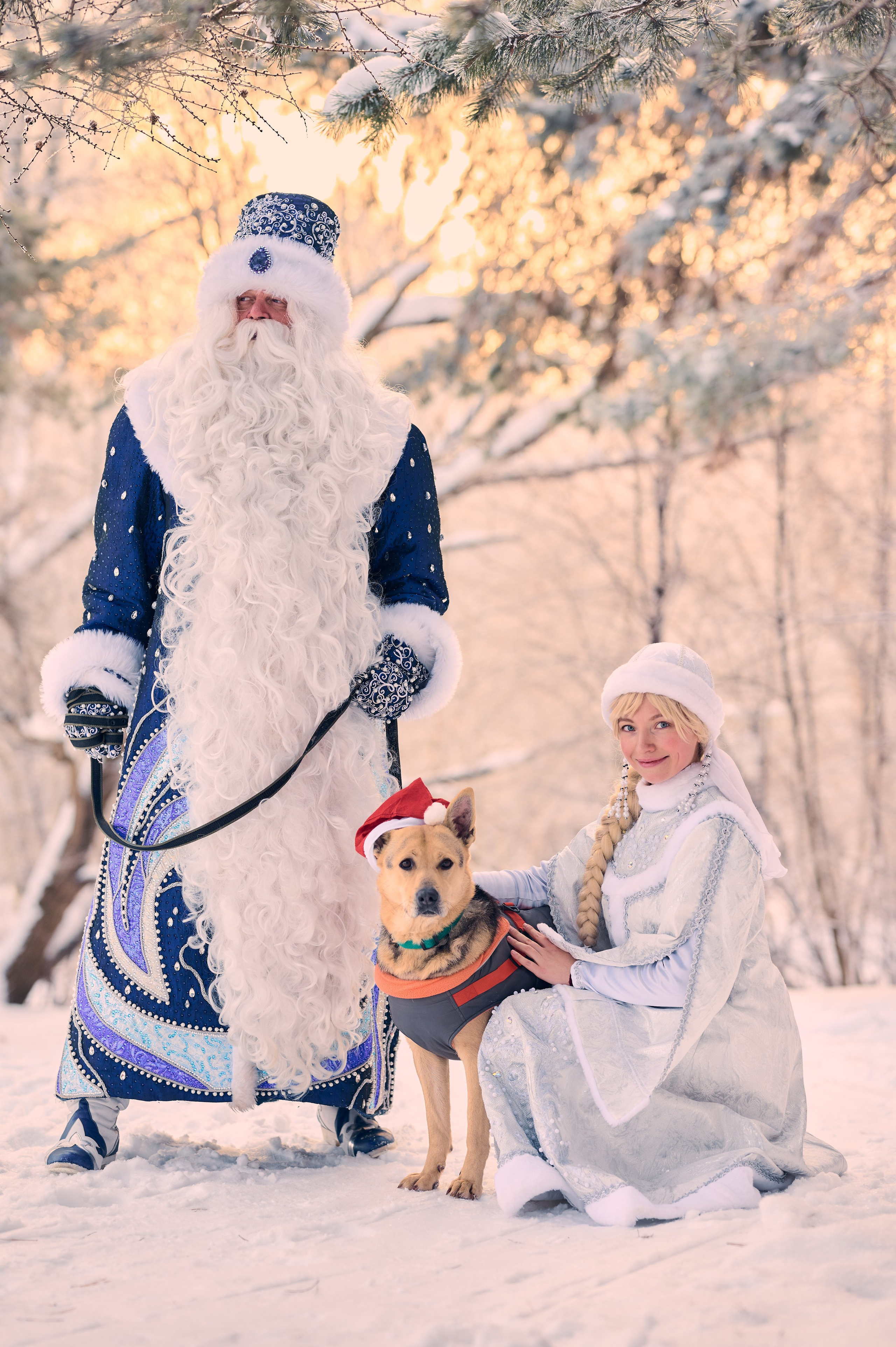 Промо приюта для собак. Никита Хохловский фото и видео продакшн