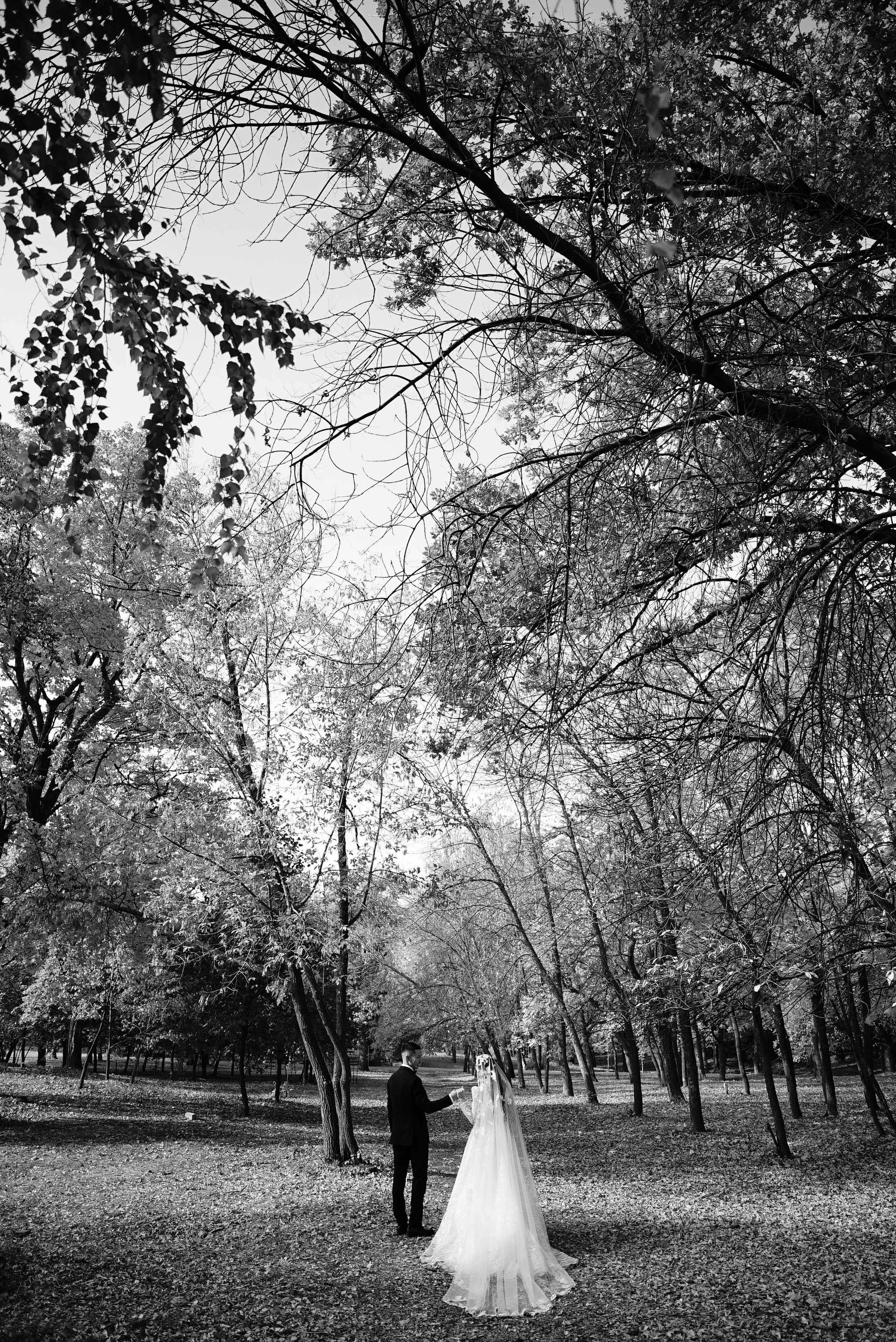 Адилет и Алия. Свадебный фотограф в Самаре Анна Ковалева