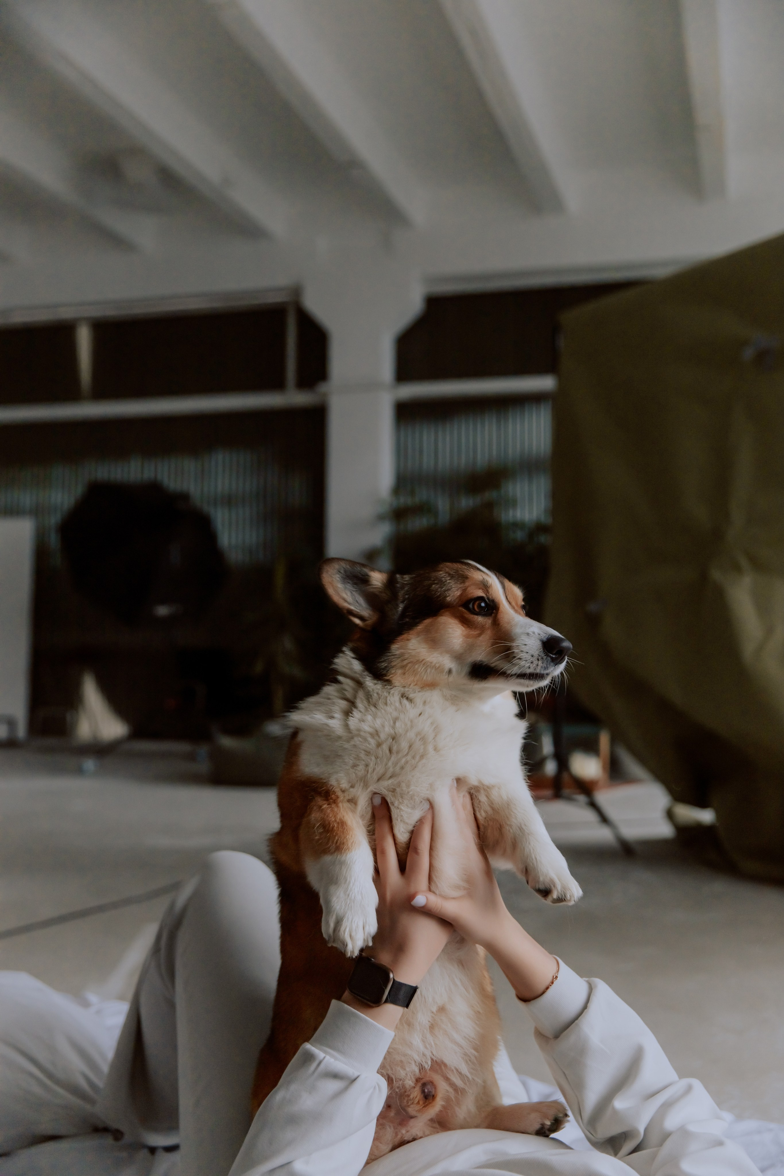 Саша, Илья и песик Кураж. Фотограф, который снимает любовь в Санкт-Петербурге и Череповце