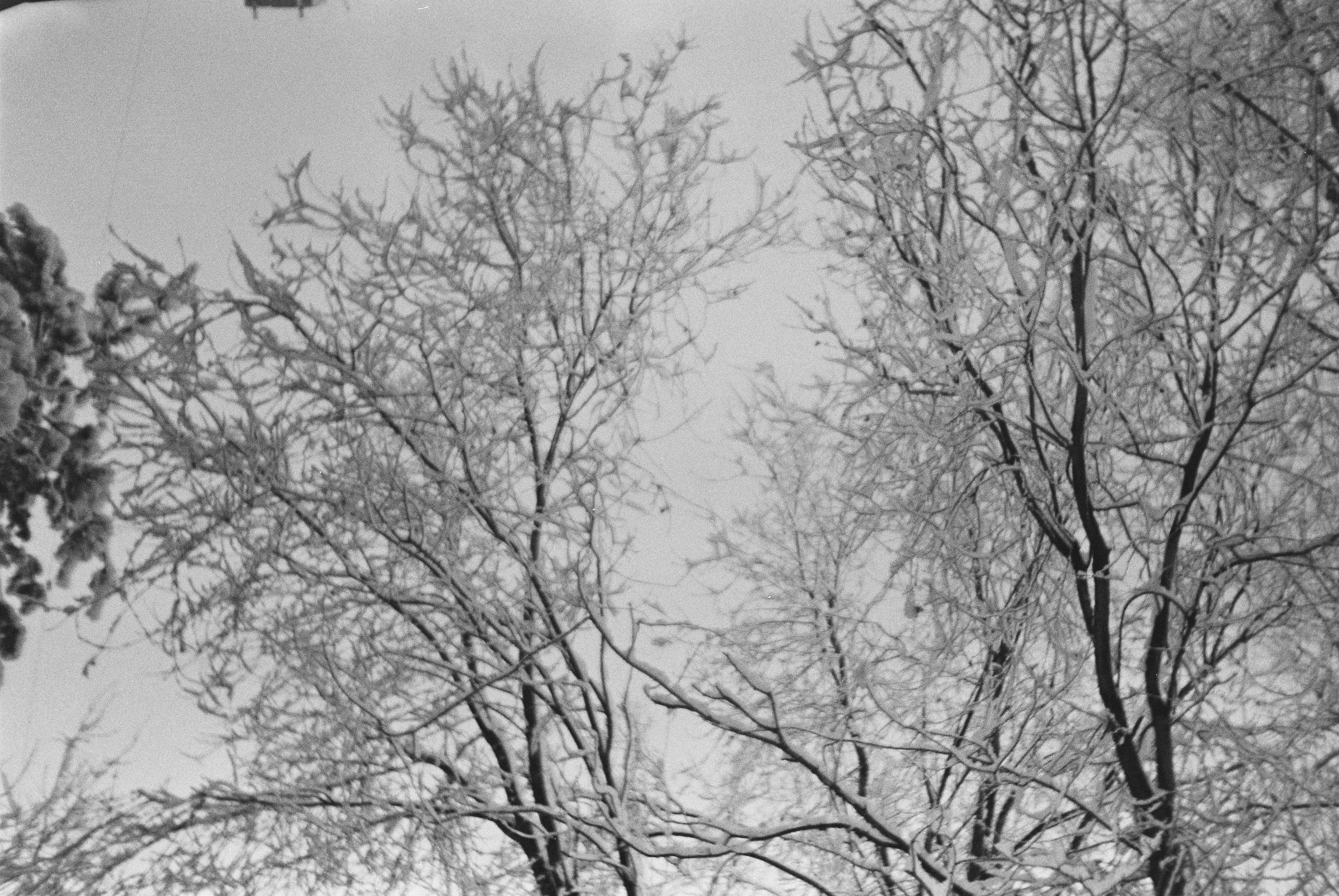 Плёночные воспоминания. Портретный и коллажный фотограф из Москвы