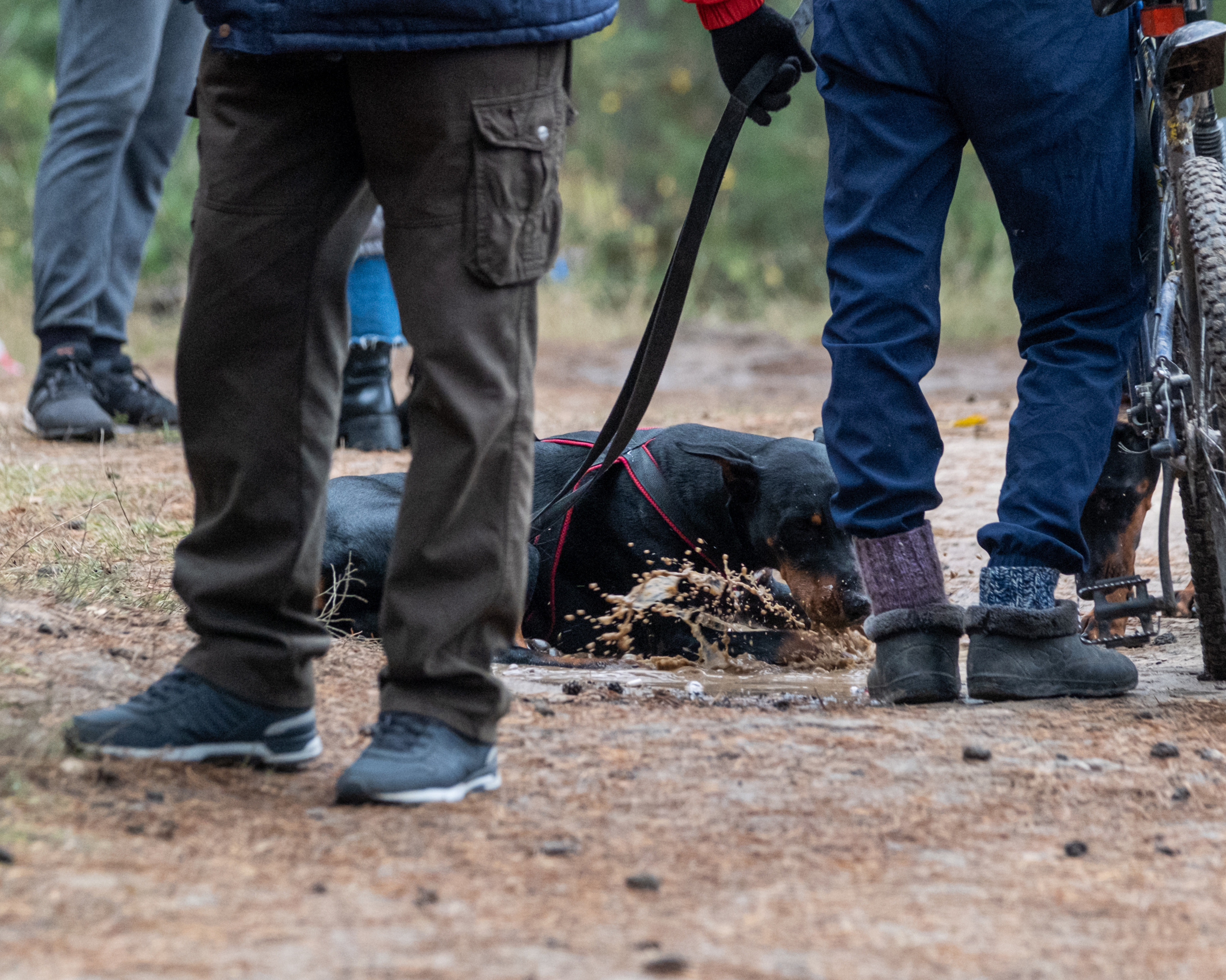 Алтын Буре. Репортажный фотограф в Казани Павел Серпокрылов
