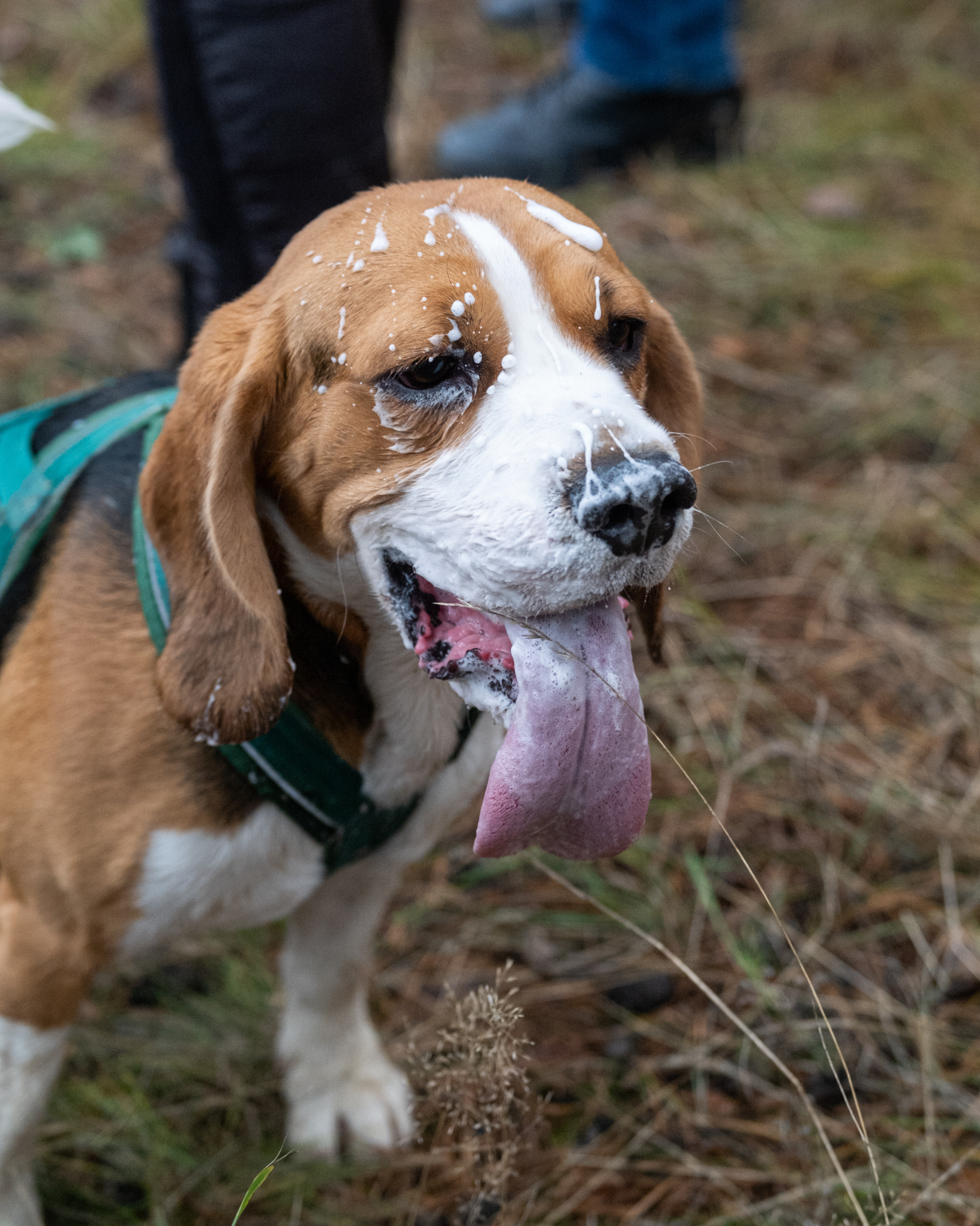 Алтын Буре. Репортажный фотограф в Казани Павел Серпокрылов