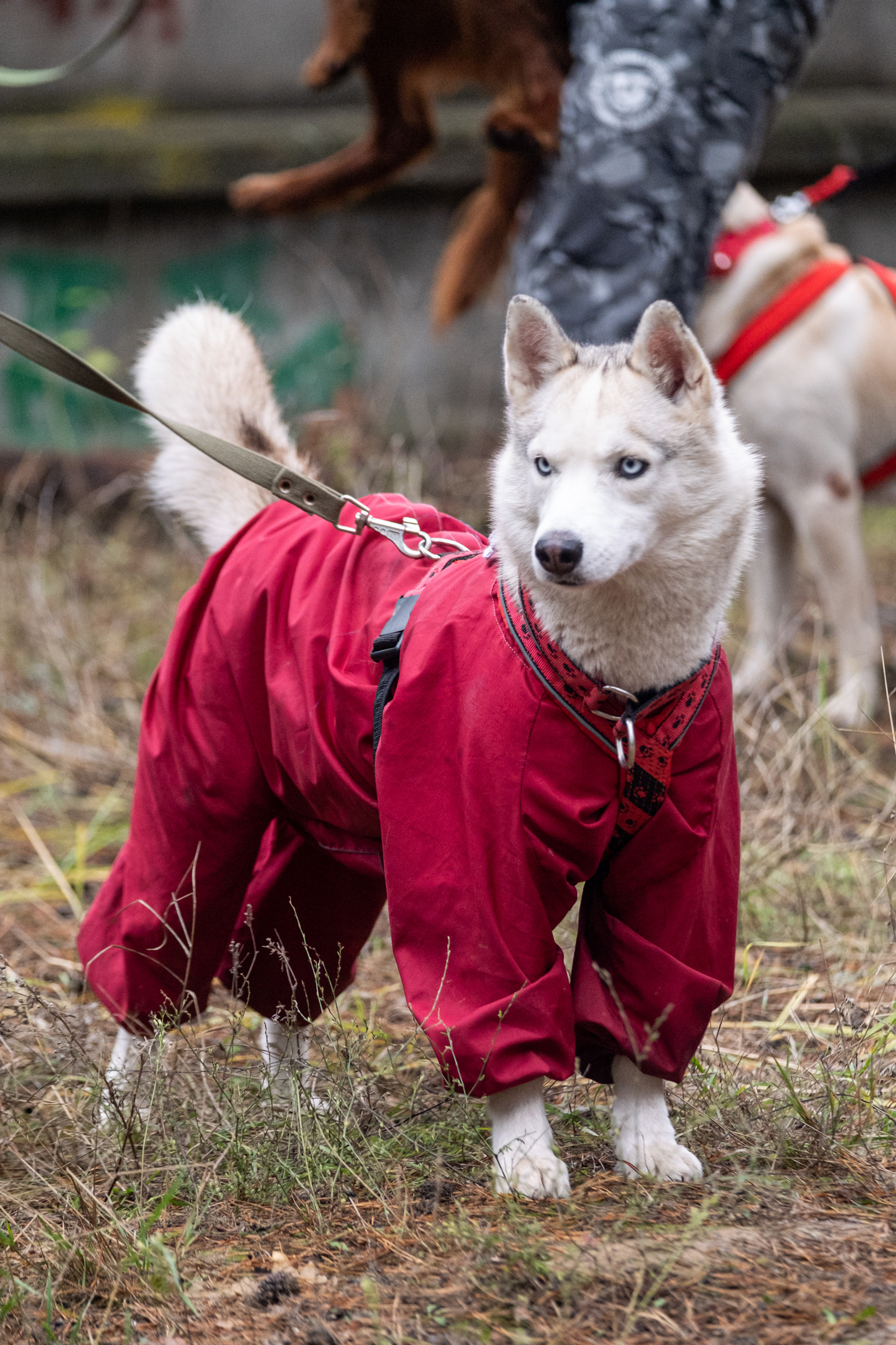 Алтын Буре. Репортажный фотограф в Казани Павел Серпокрылов