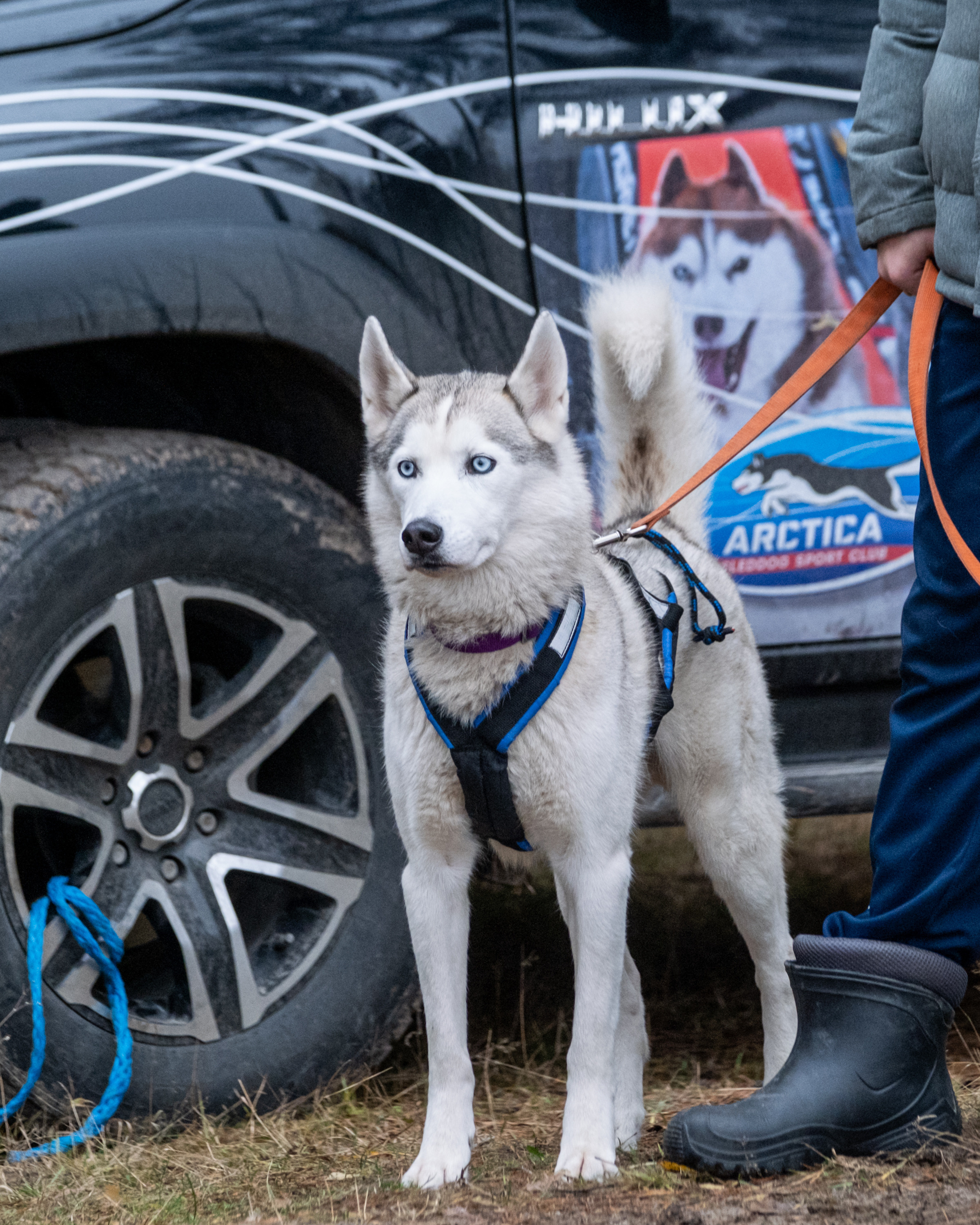 Алтын Буре. Репортажный фотограф в Казани Павел Серпокрылов