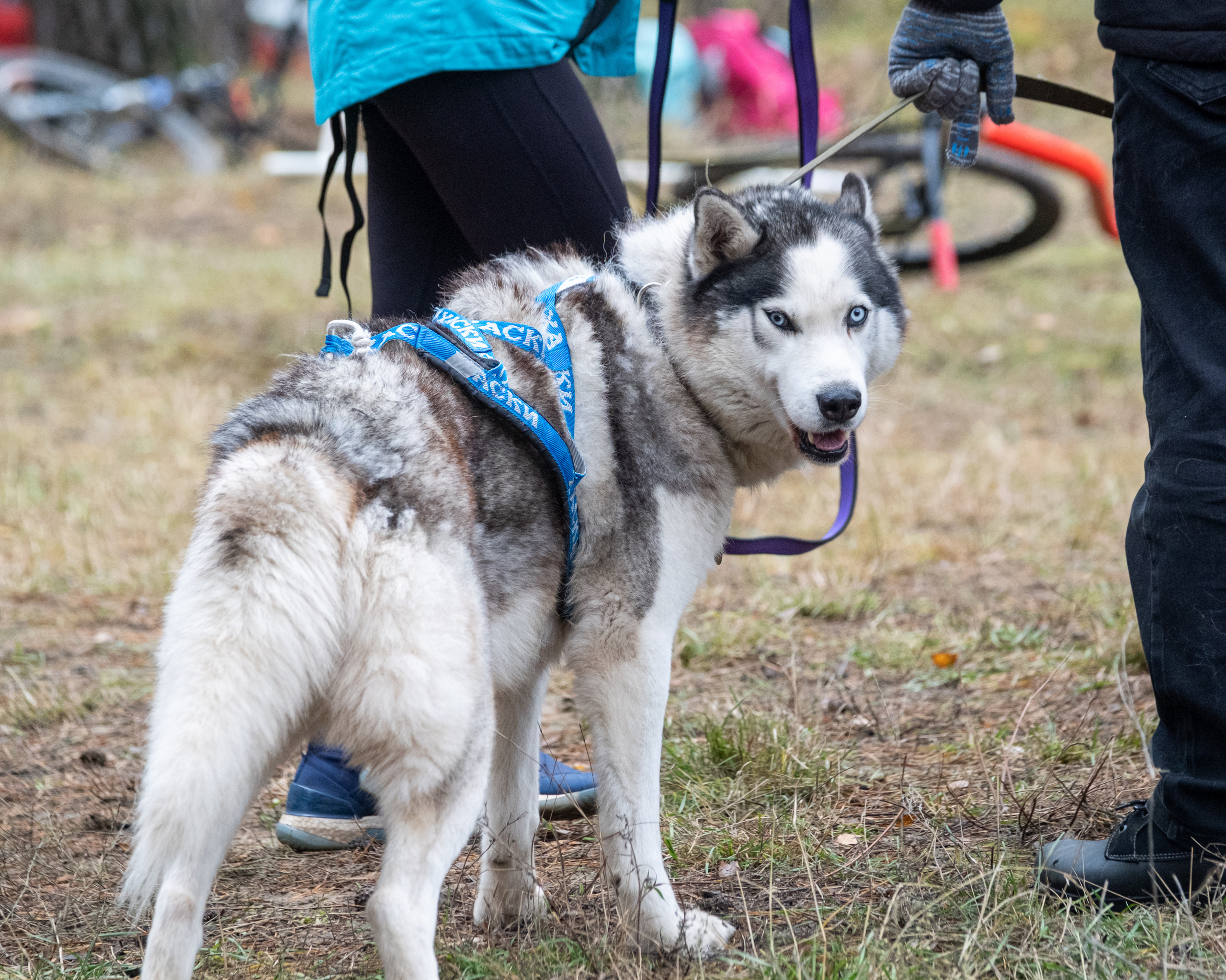 Алтын Буре. Репортажный фотограф в Казани Павел Серпокрылов