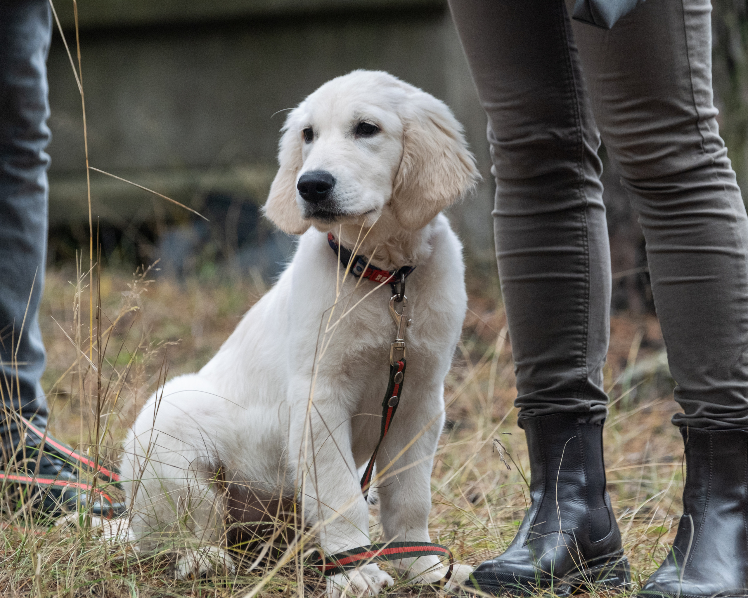 Алтын Буре. Репортажный фотограф в Казани Павел Серпокрылов