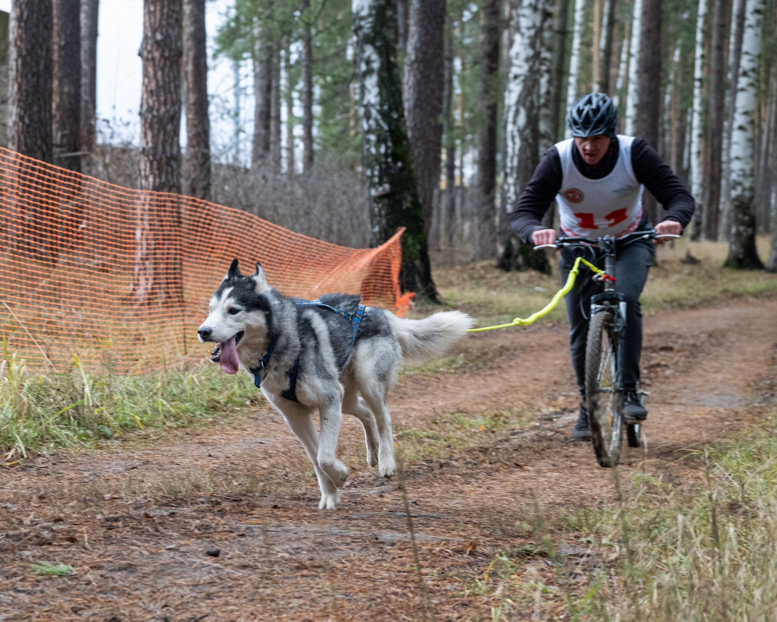 Алтын Буре. Репортажный фотограф в Казани Павел Серпокрылов