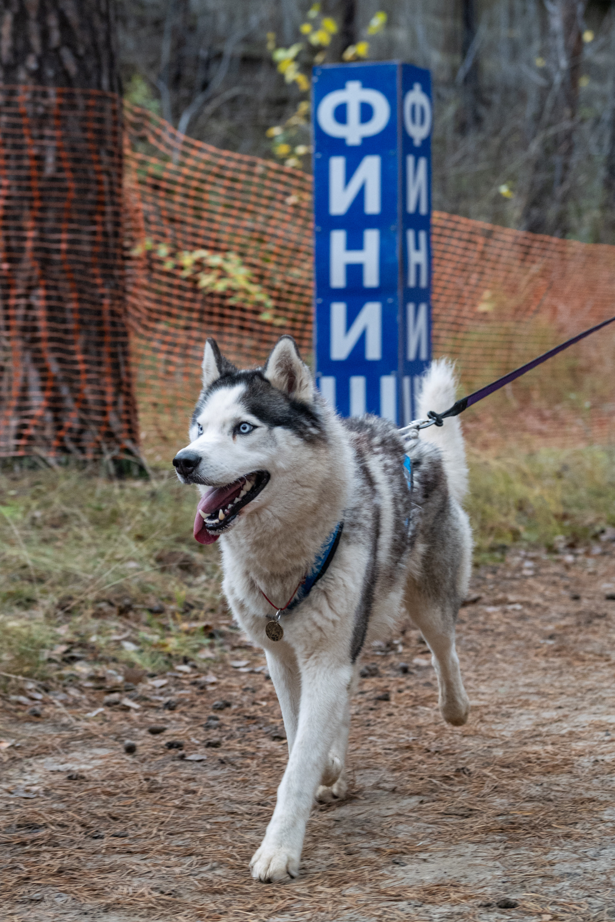 Алтын Буре. Репортажный фотограф в Казани Павел Серпокрылов