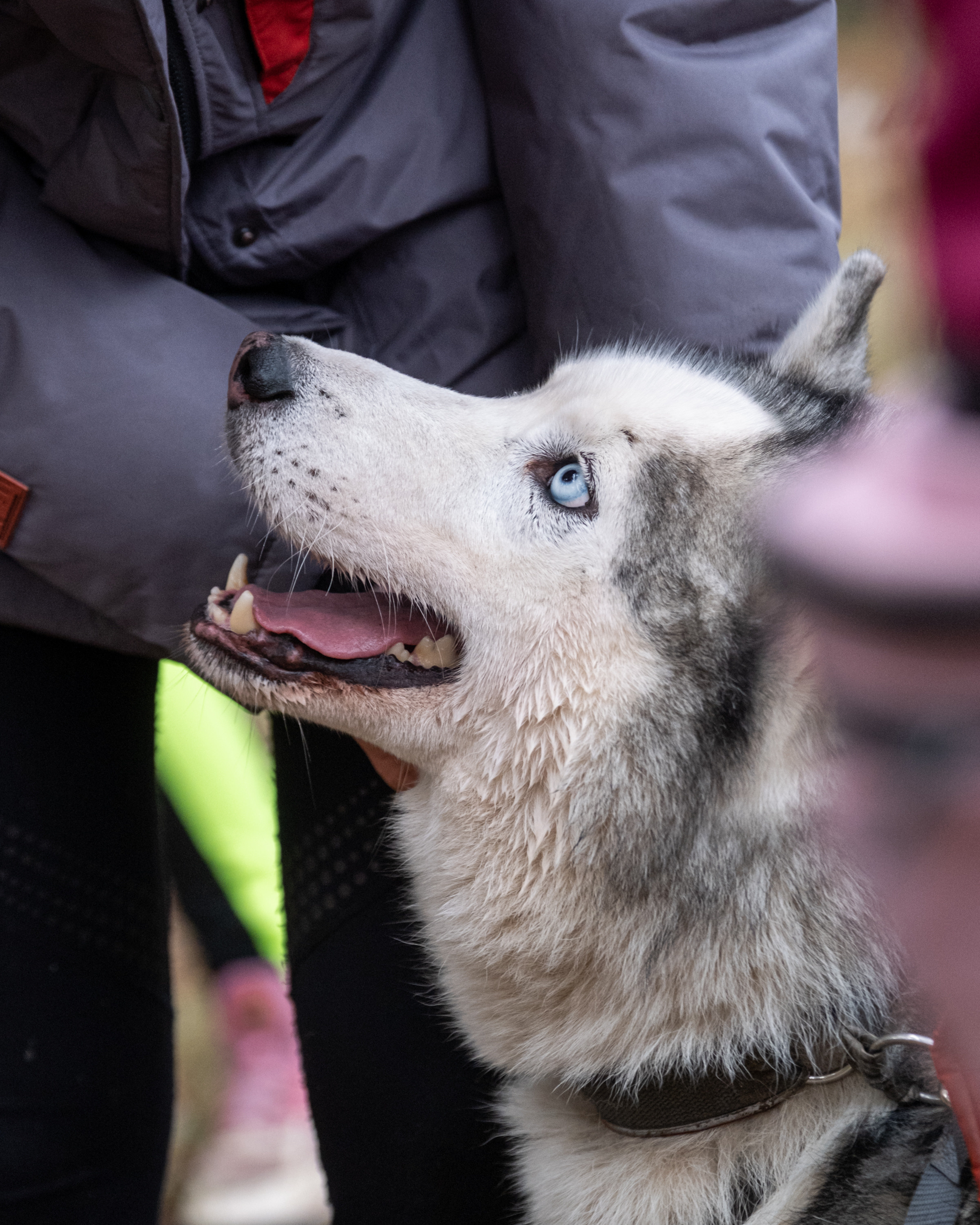 Алтын Буре. Репортажный фотограф в Казани Павел Серпокрылов