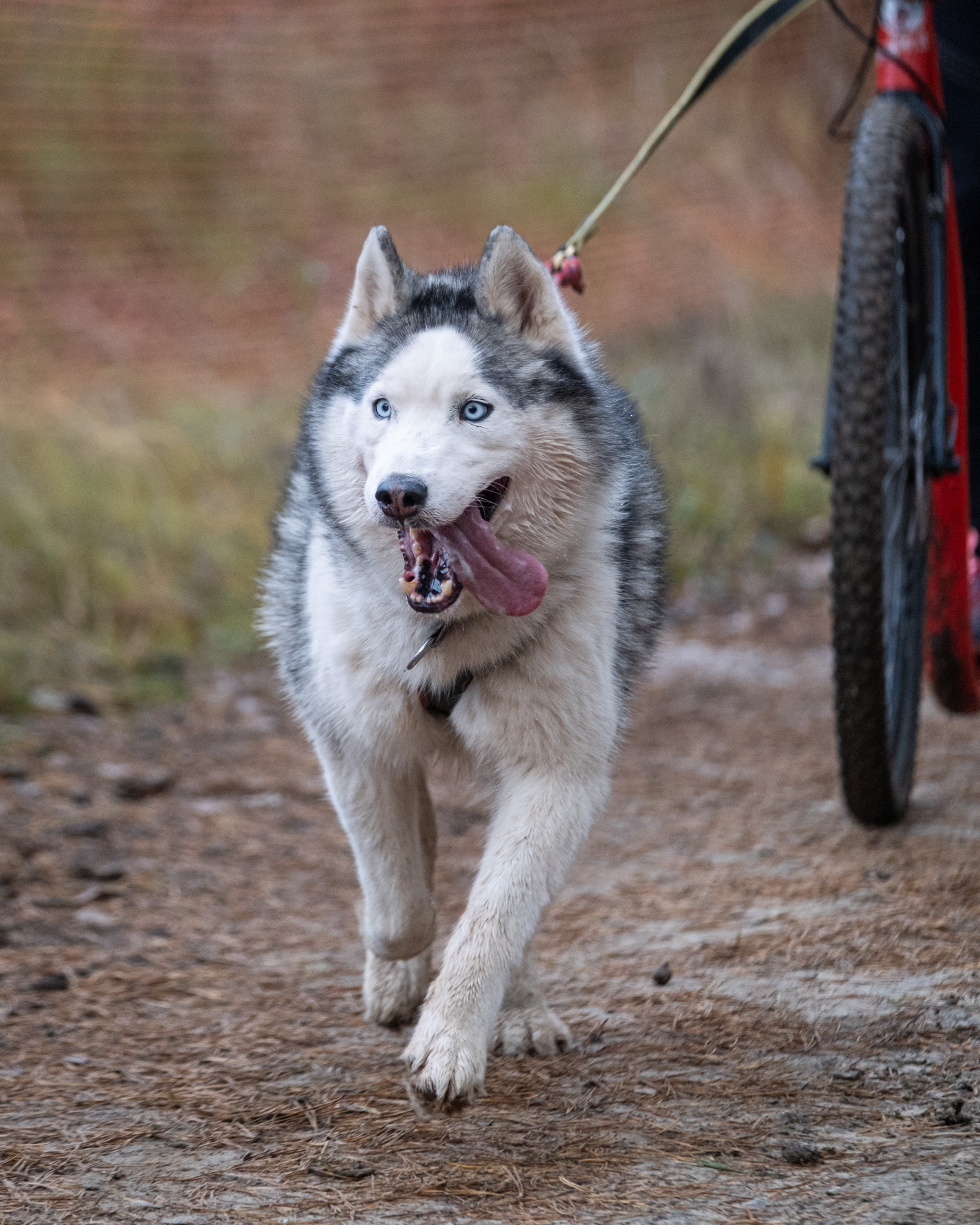 Алтын Буре. Репортажный фотограф в Казани Павел Серпокрылов